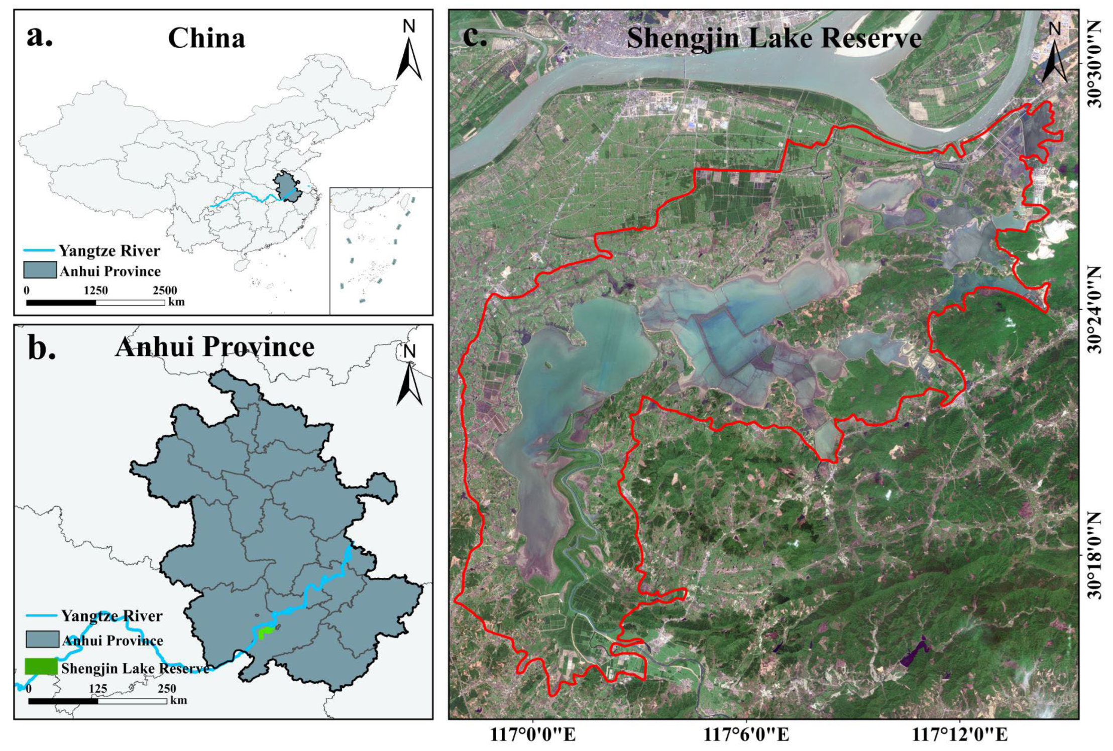 Remotesensing 16 04169 g001