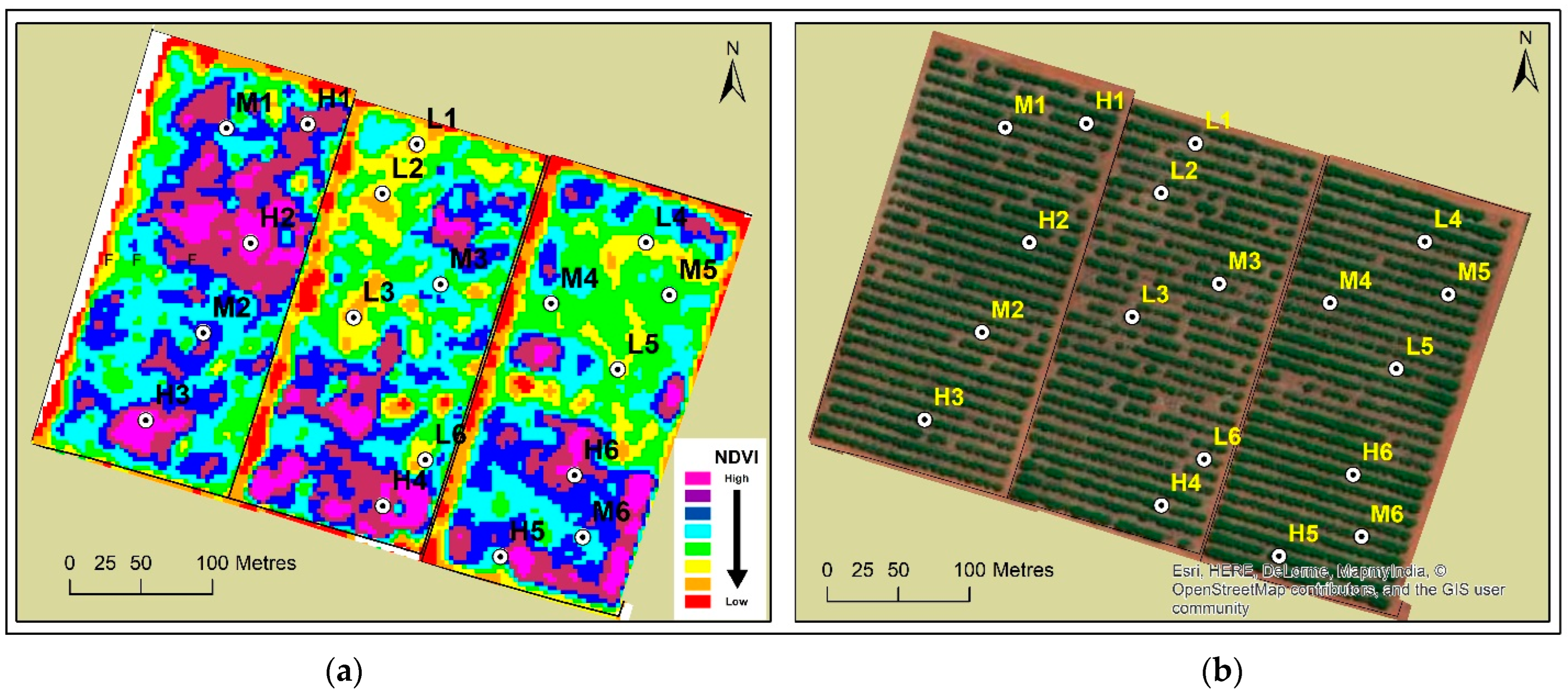 Remotesensing 16 04170 g003