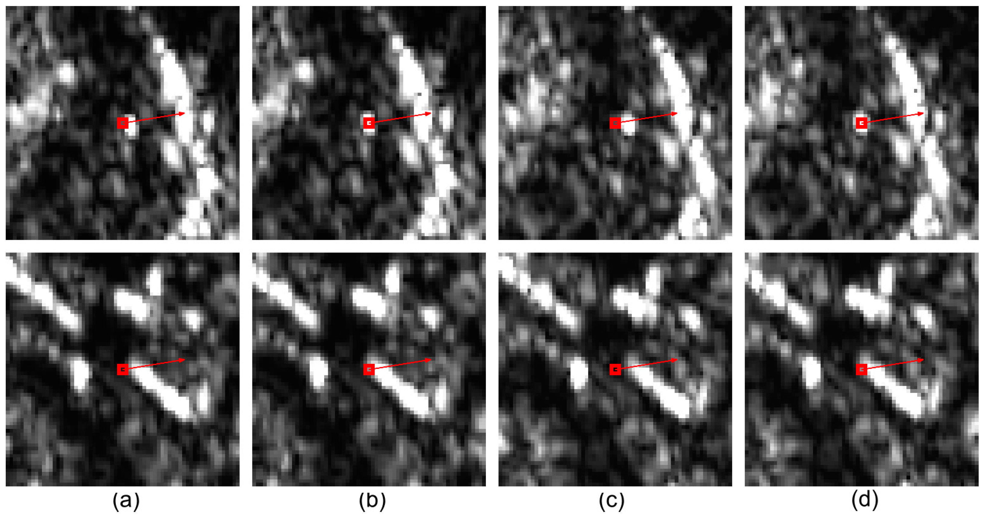 Remotesensing 16 04210 g009