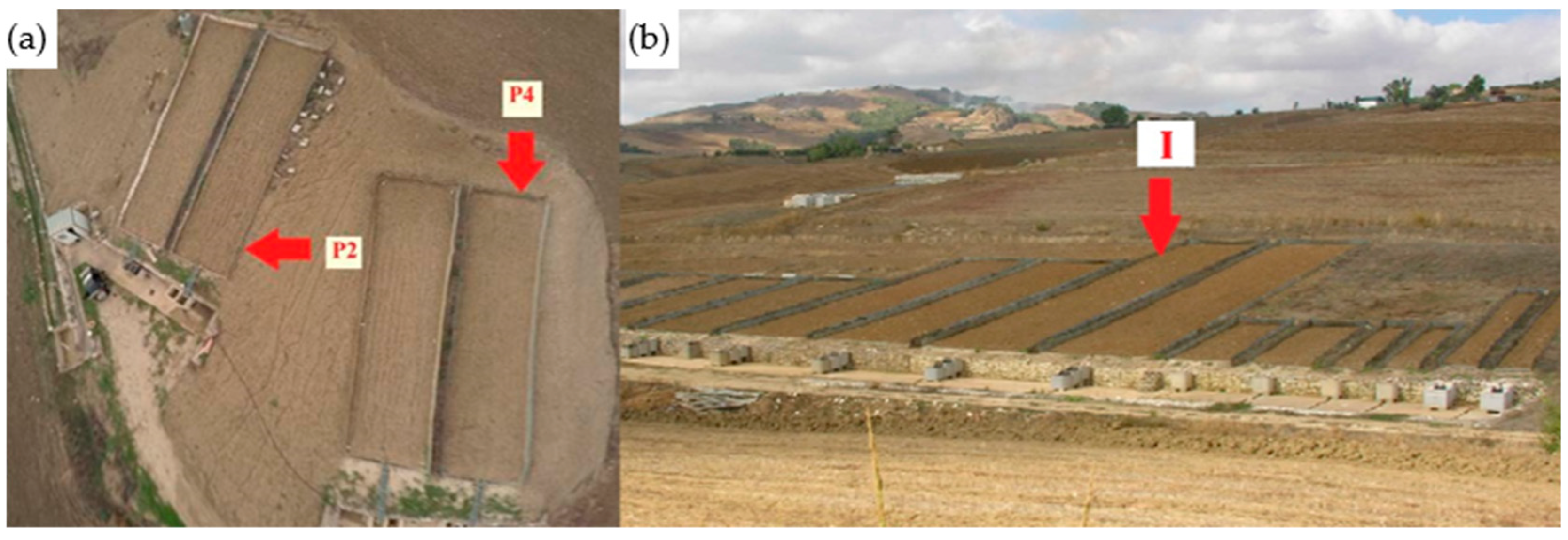 Remotesensing 16 04232 g004