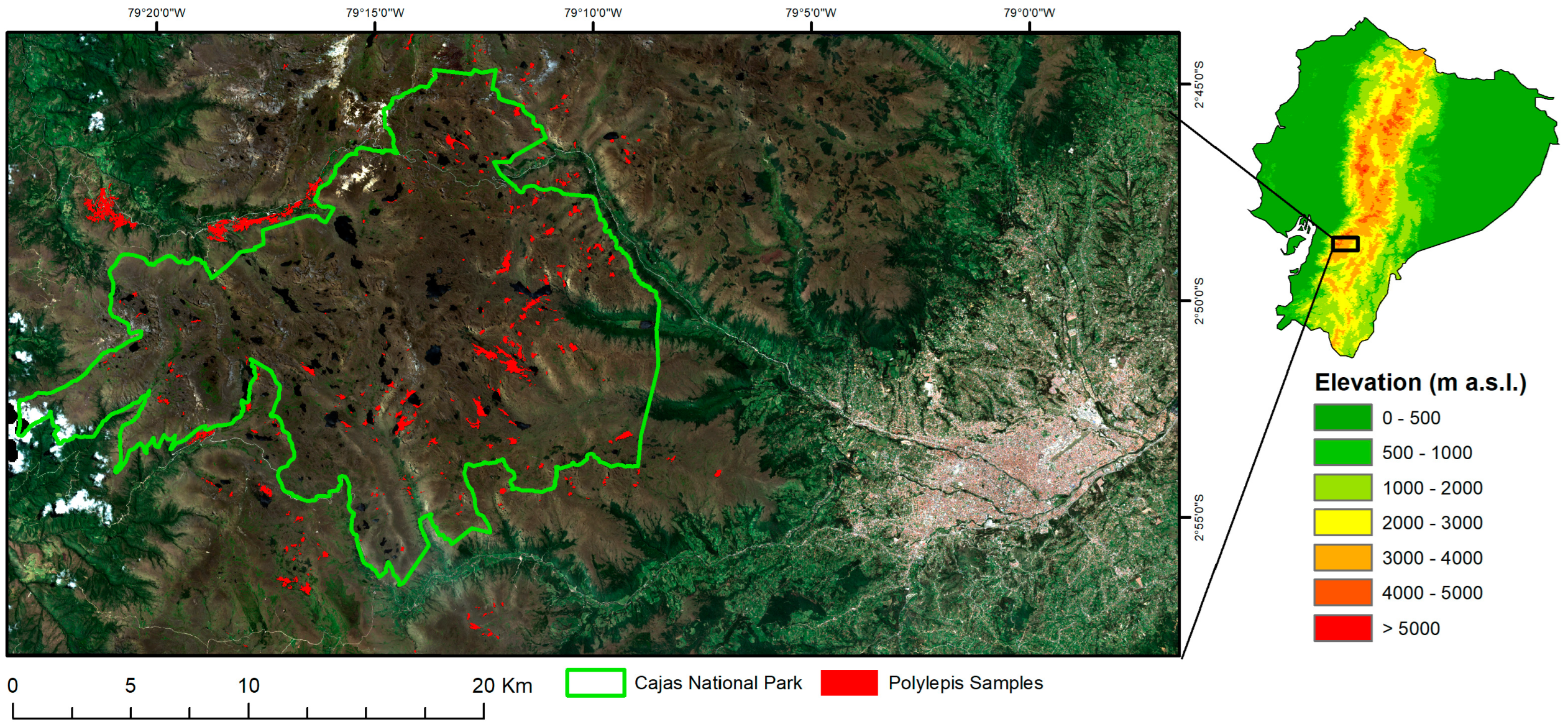 Remotesensing 16 04271 g001