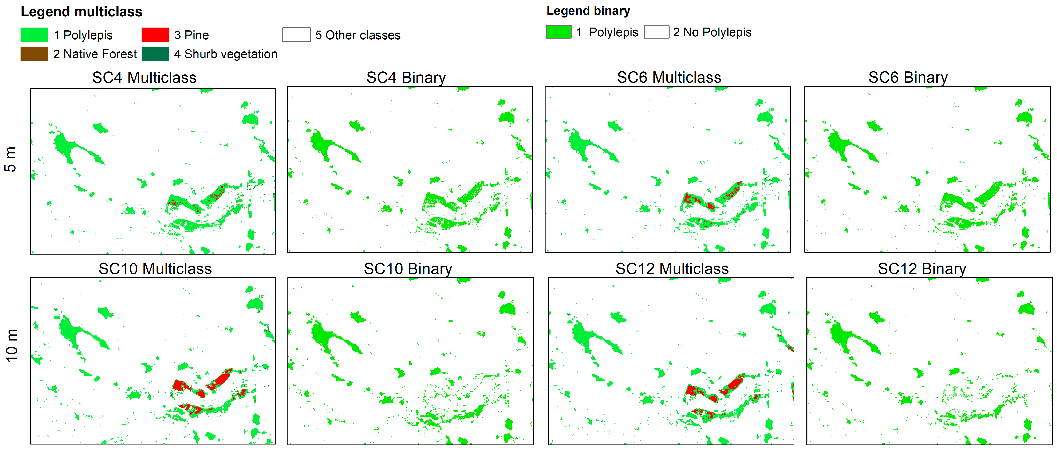 Remotesensing 16 04271 g006