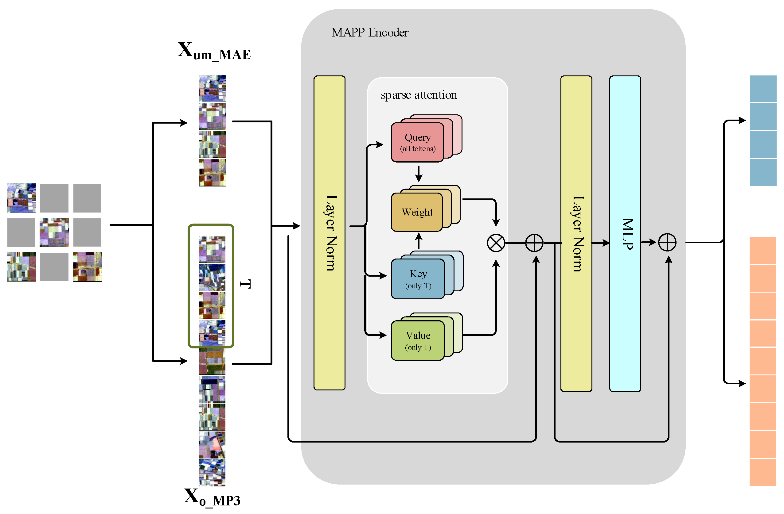 MAPM:PolSAR Image Classification with Masked Autoencoder Based on ...