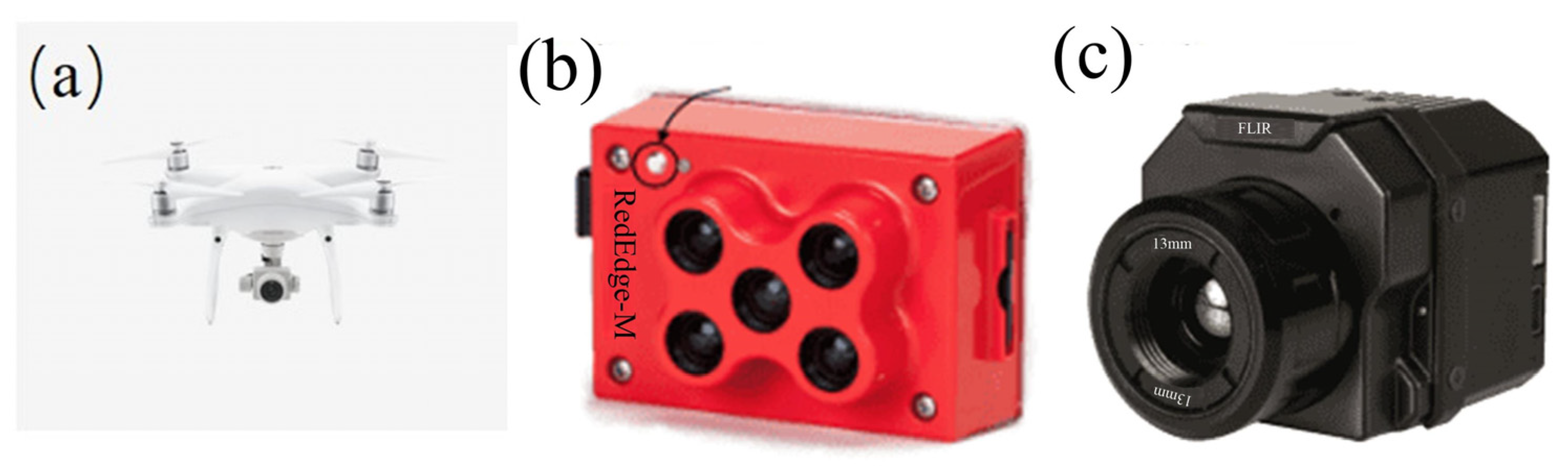 Remotesensing 16 04302 g004