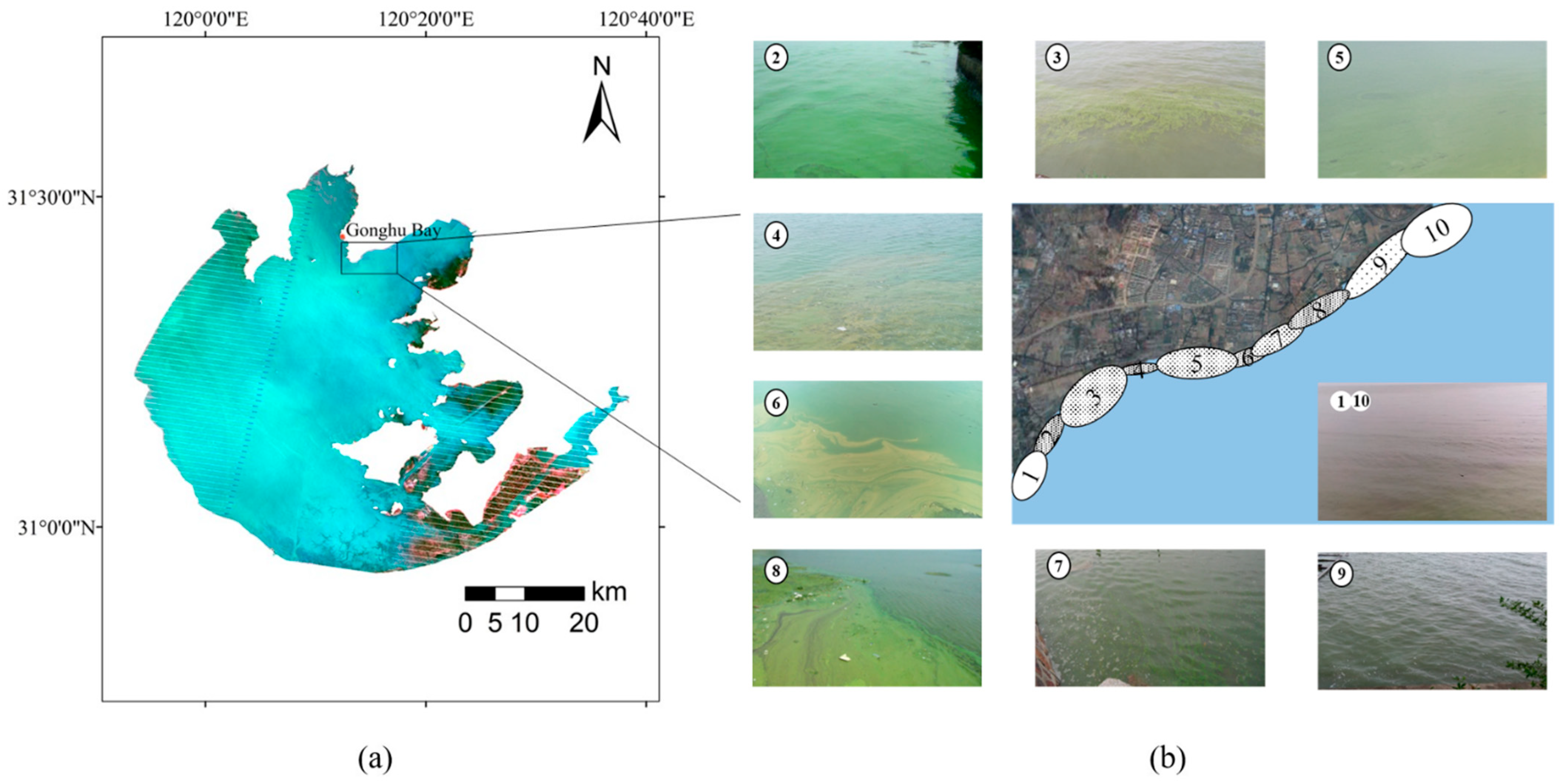 Remotesensing 16 04323 g001