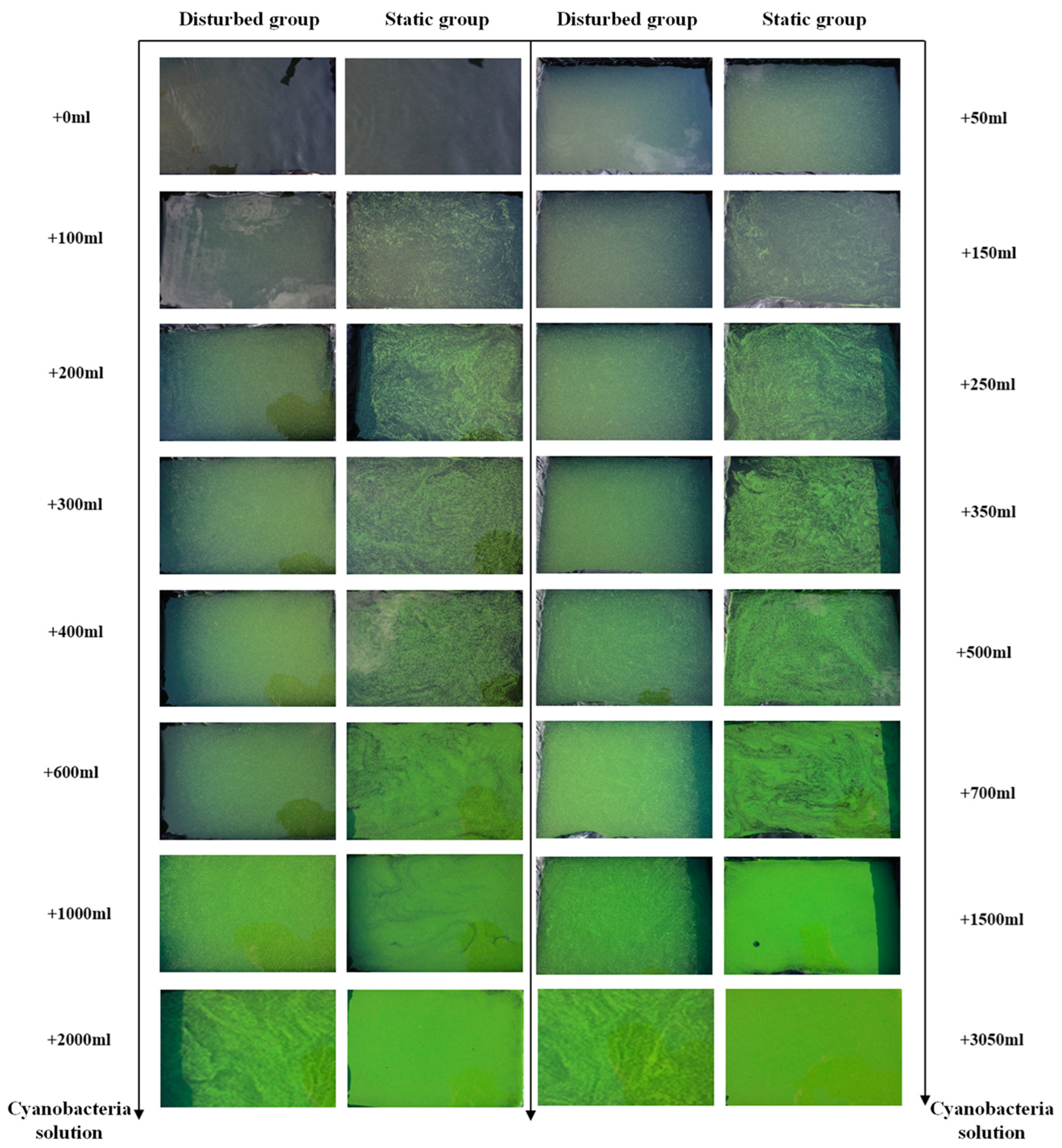 Remotesensing 16 04323 g003