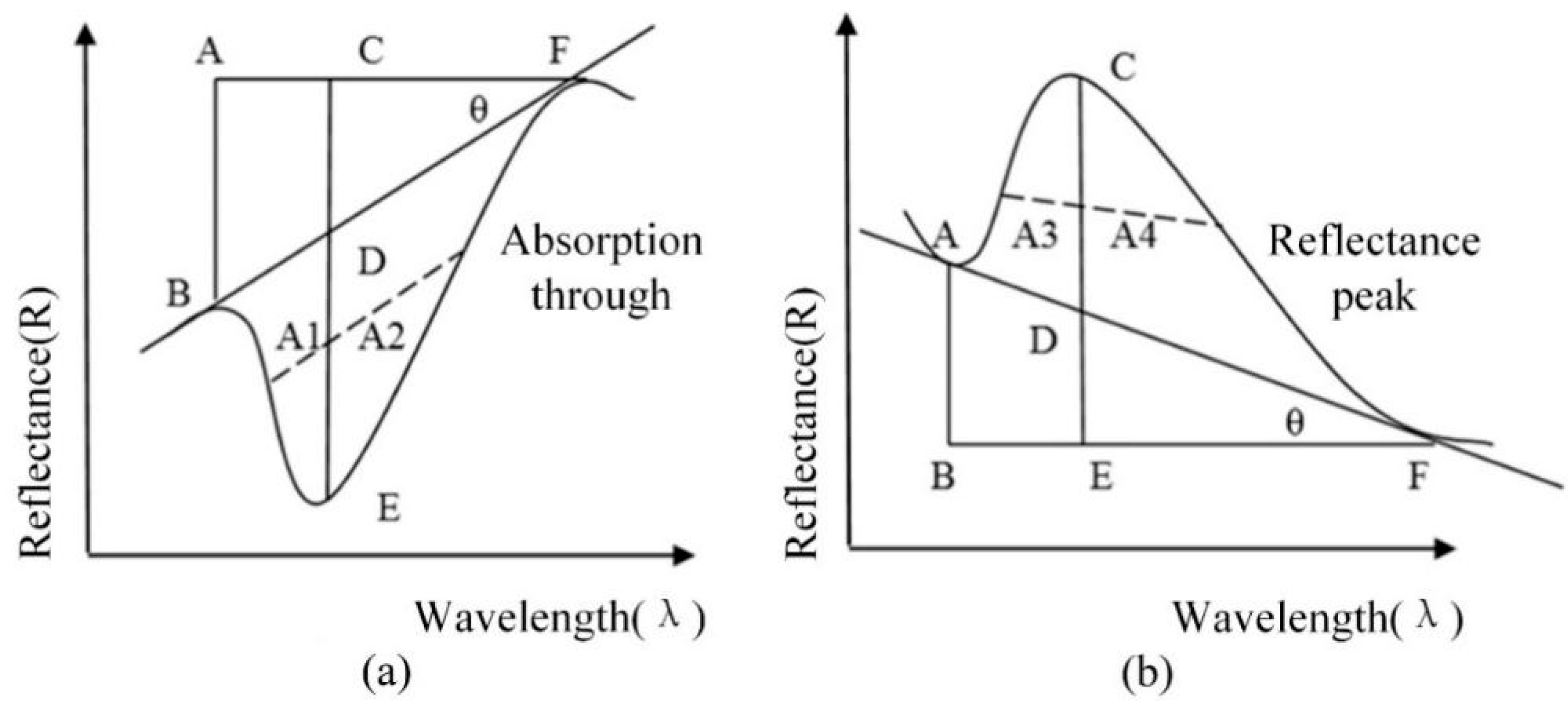 Remotesensing 16 04323 g004
