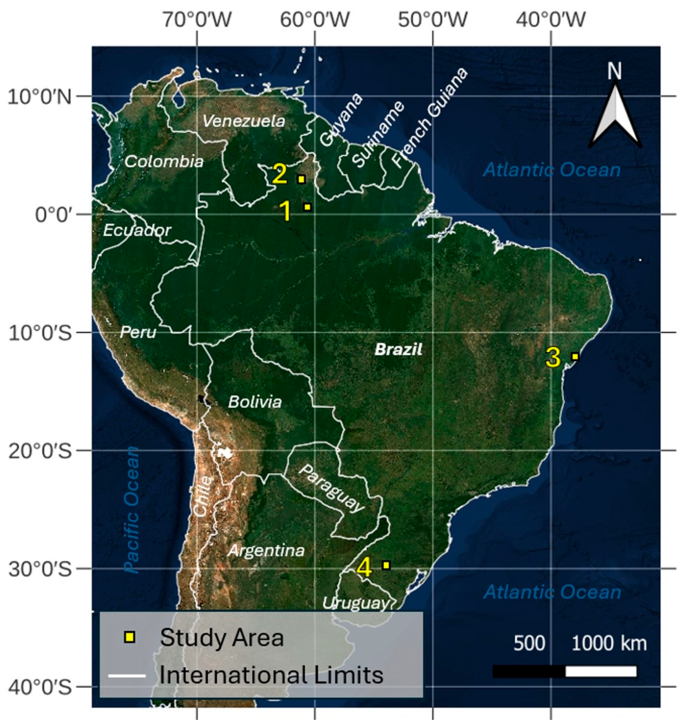 Remotesensing 16 04332 g001