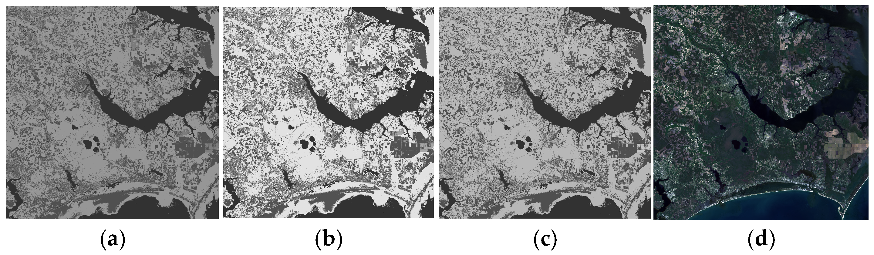 Remotesensing 16 04350 g005