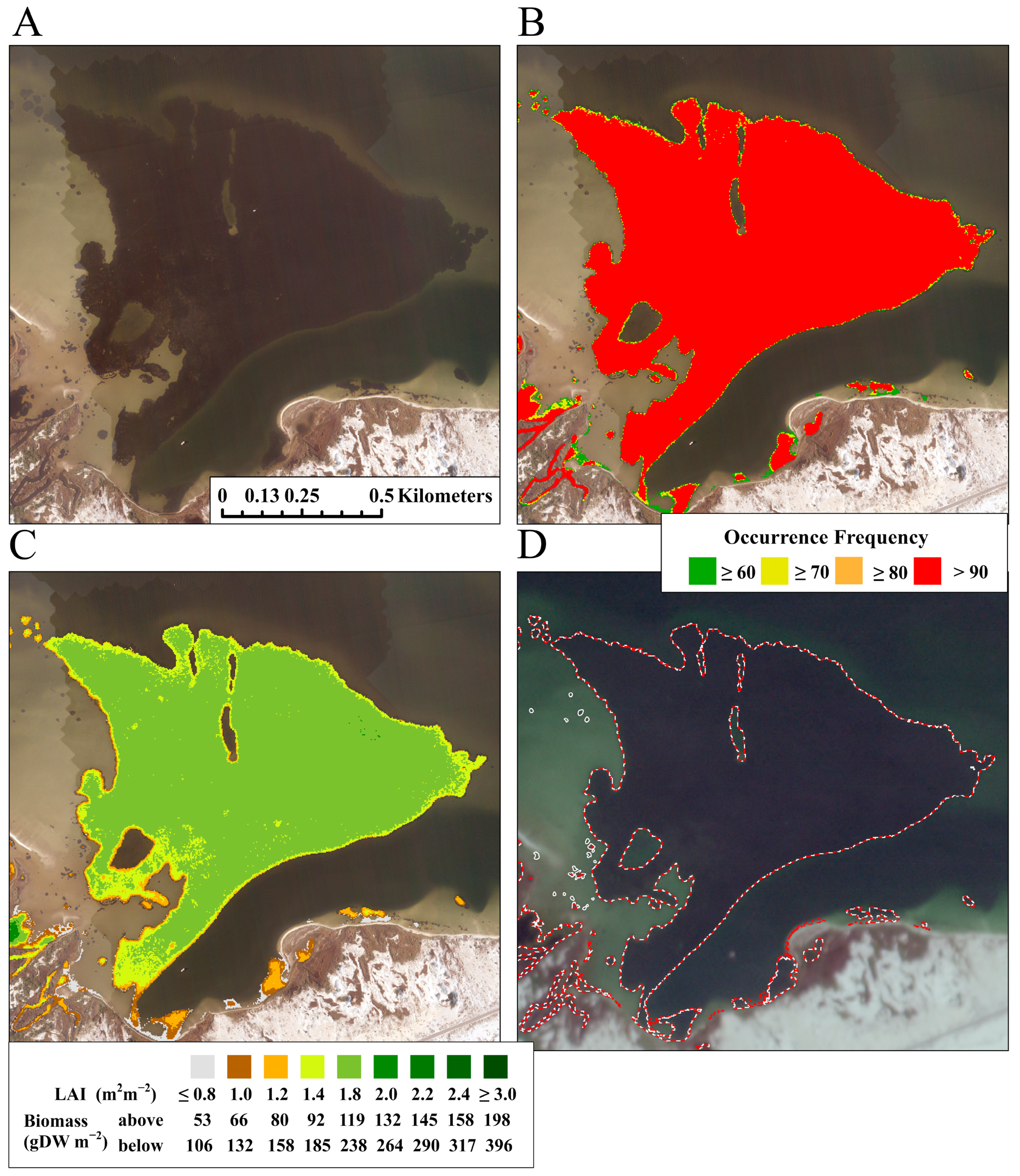 Remotesensing 16 04351 g007