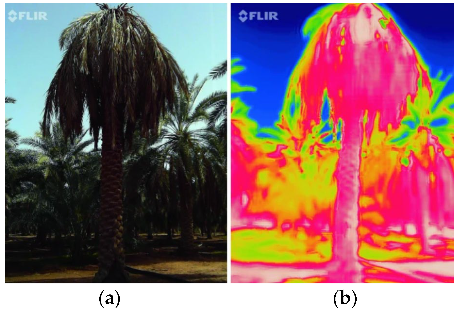 Remotesensing 16 04371 g004