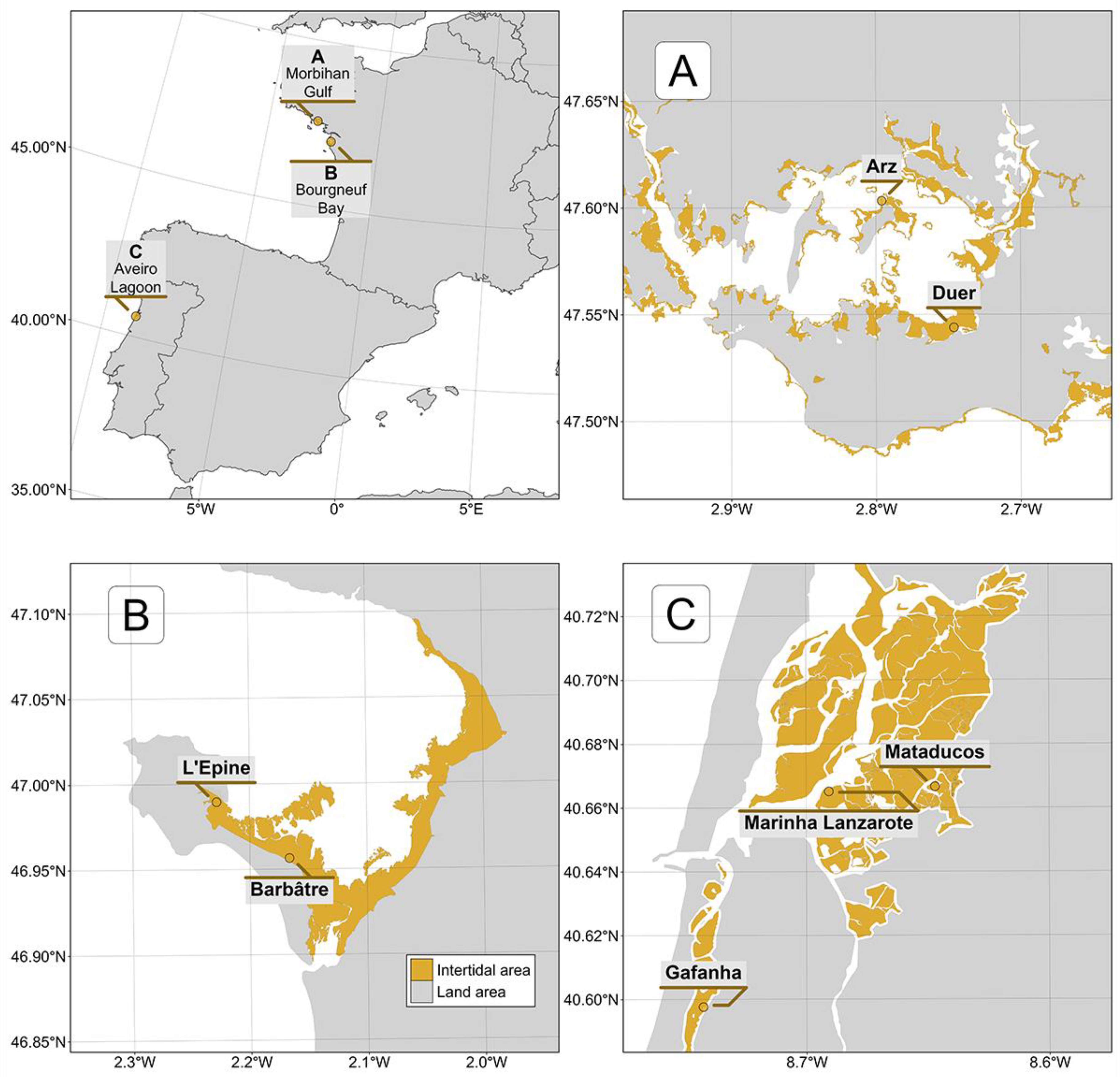 Remotesensing 16 04383 g001