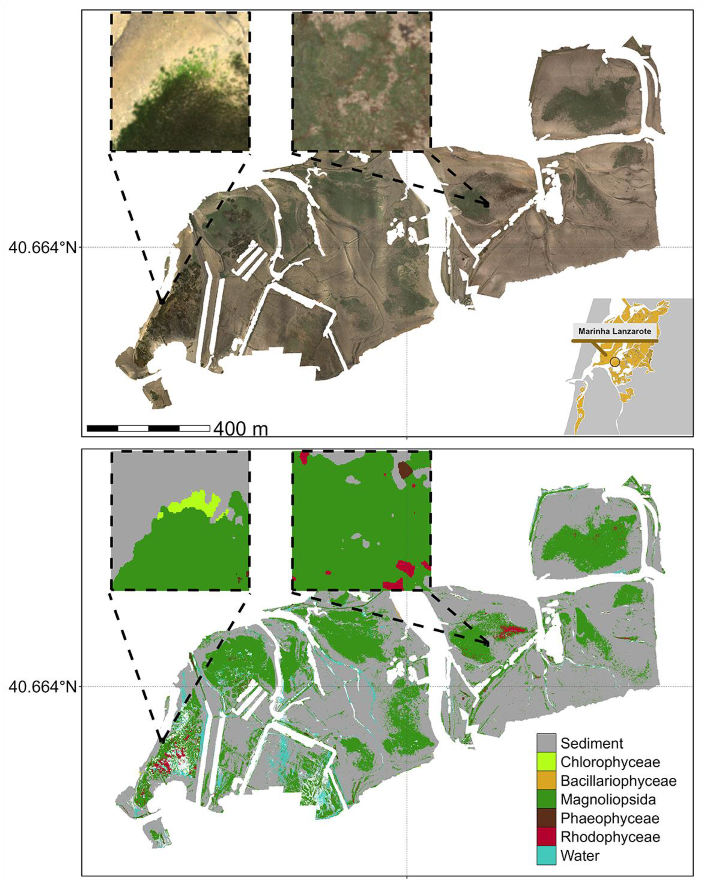 Remotesensing 16 04383 g007