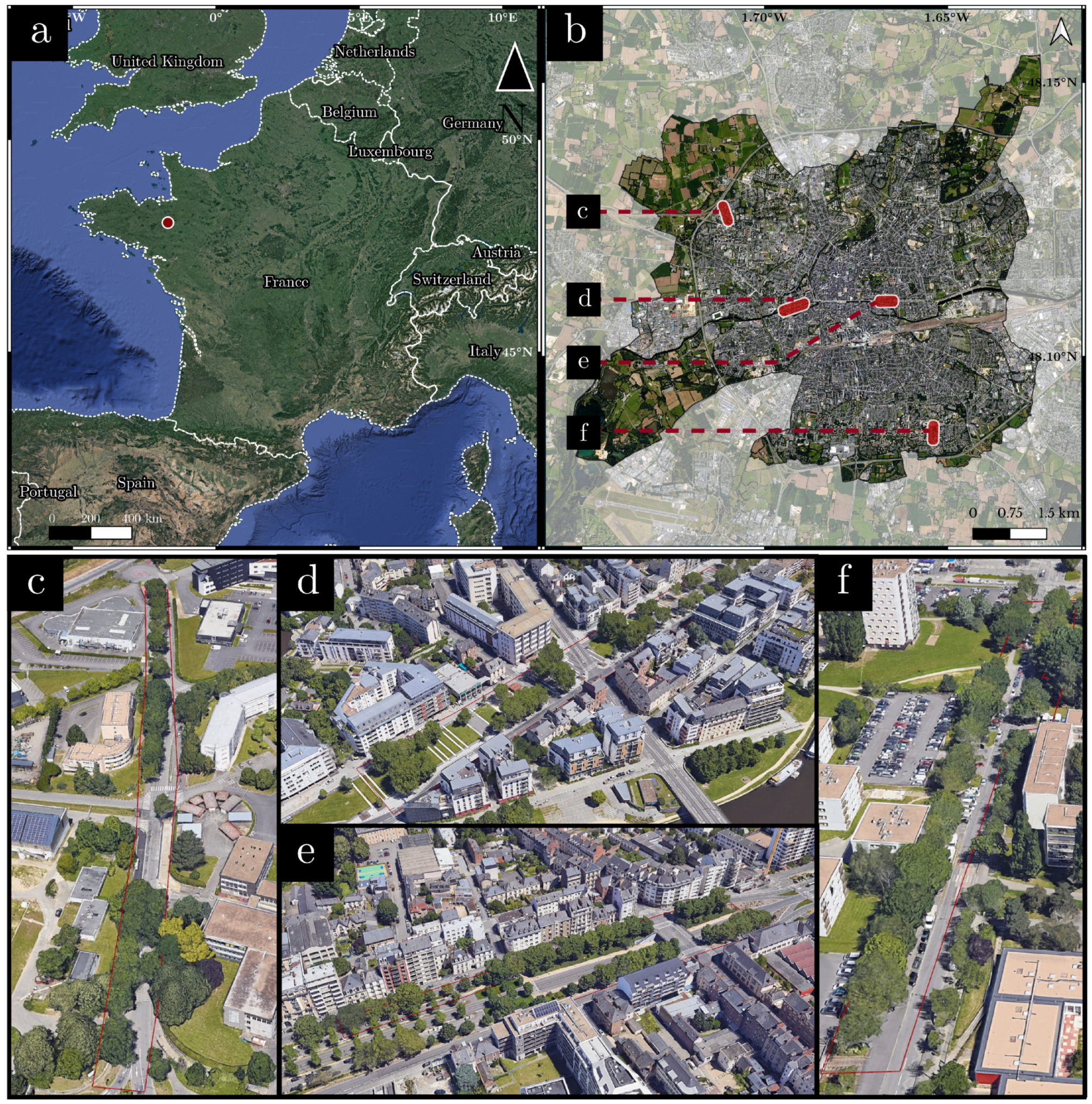 Remotesensing 16 04402 g005