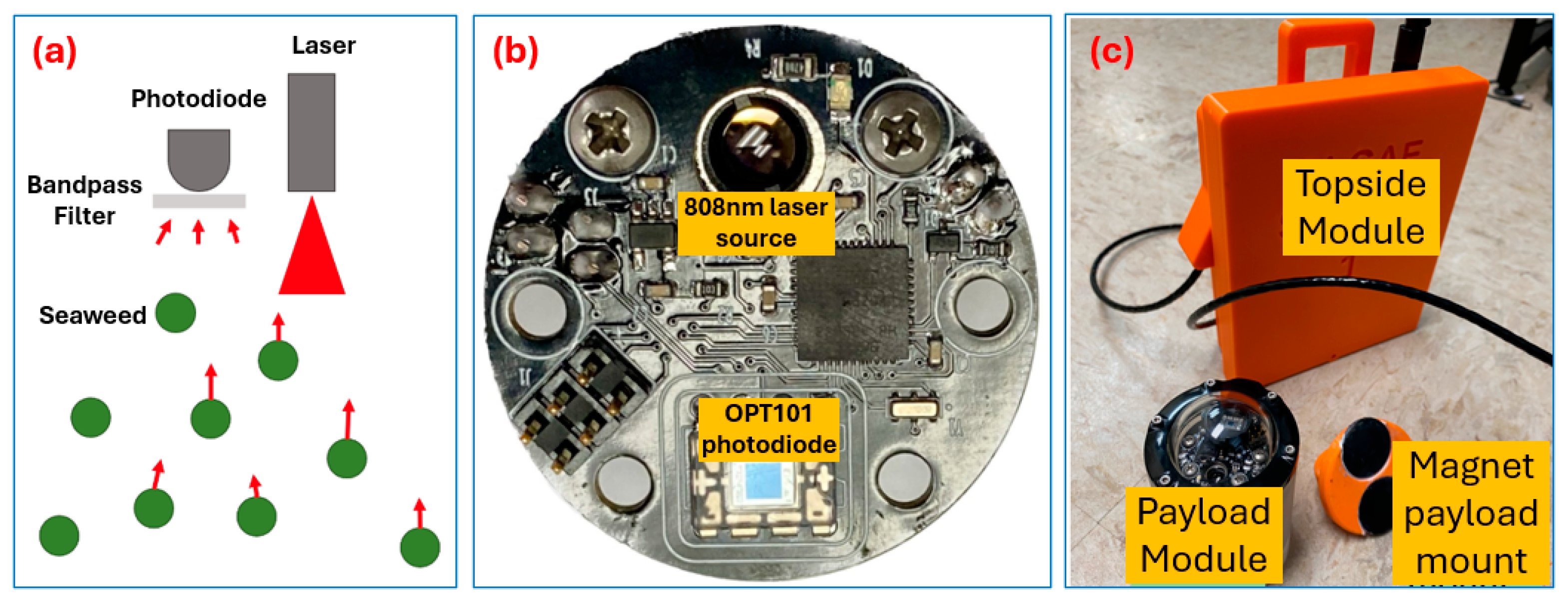 Remotesensing 16 04418 g002