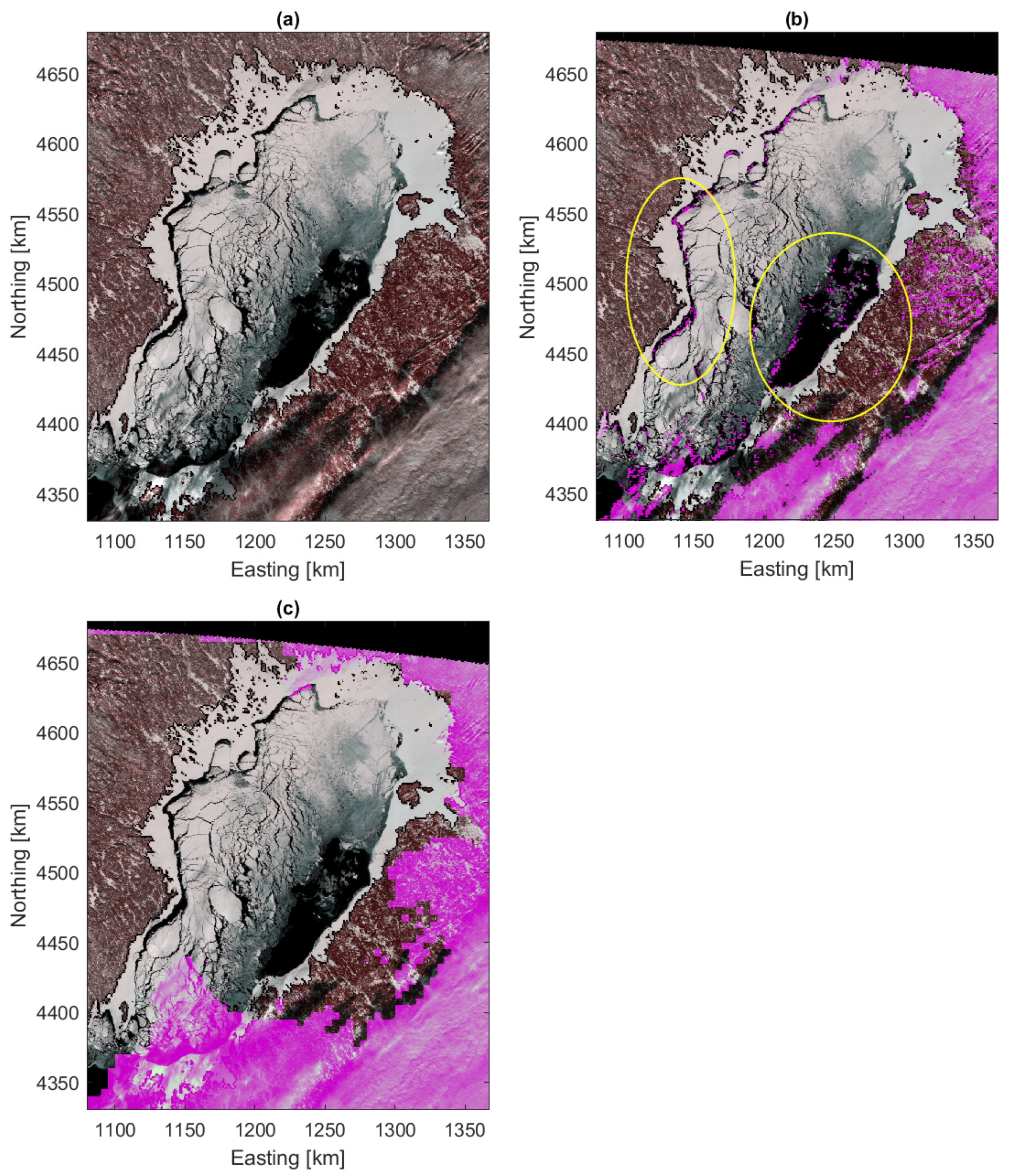Remotesensing 16 04430 g001