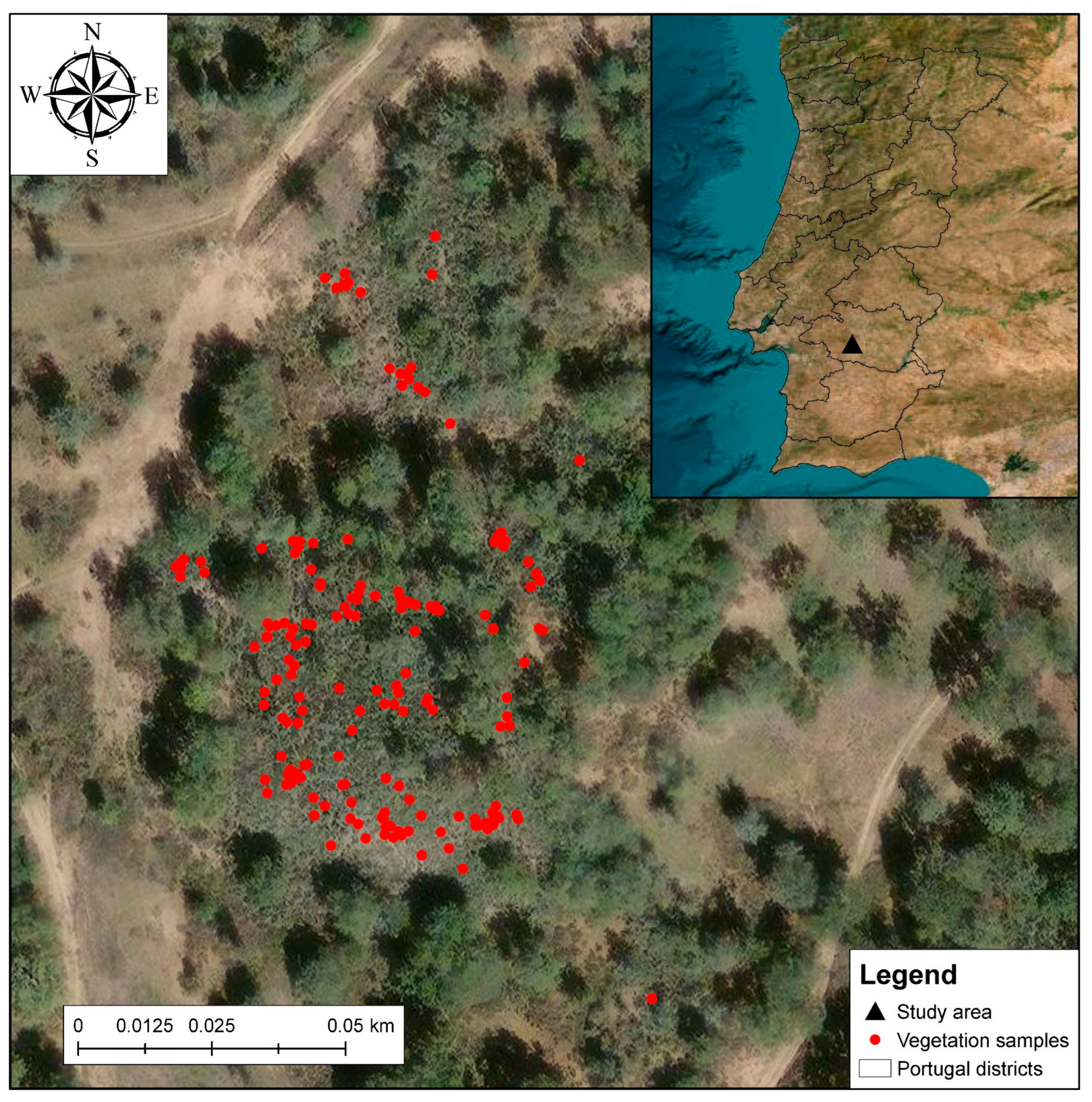 Remotesensing 16 04434 g001