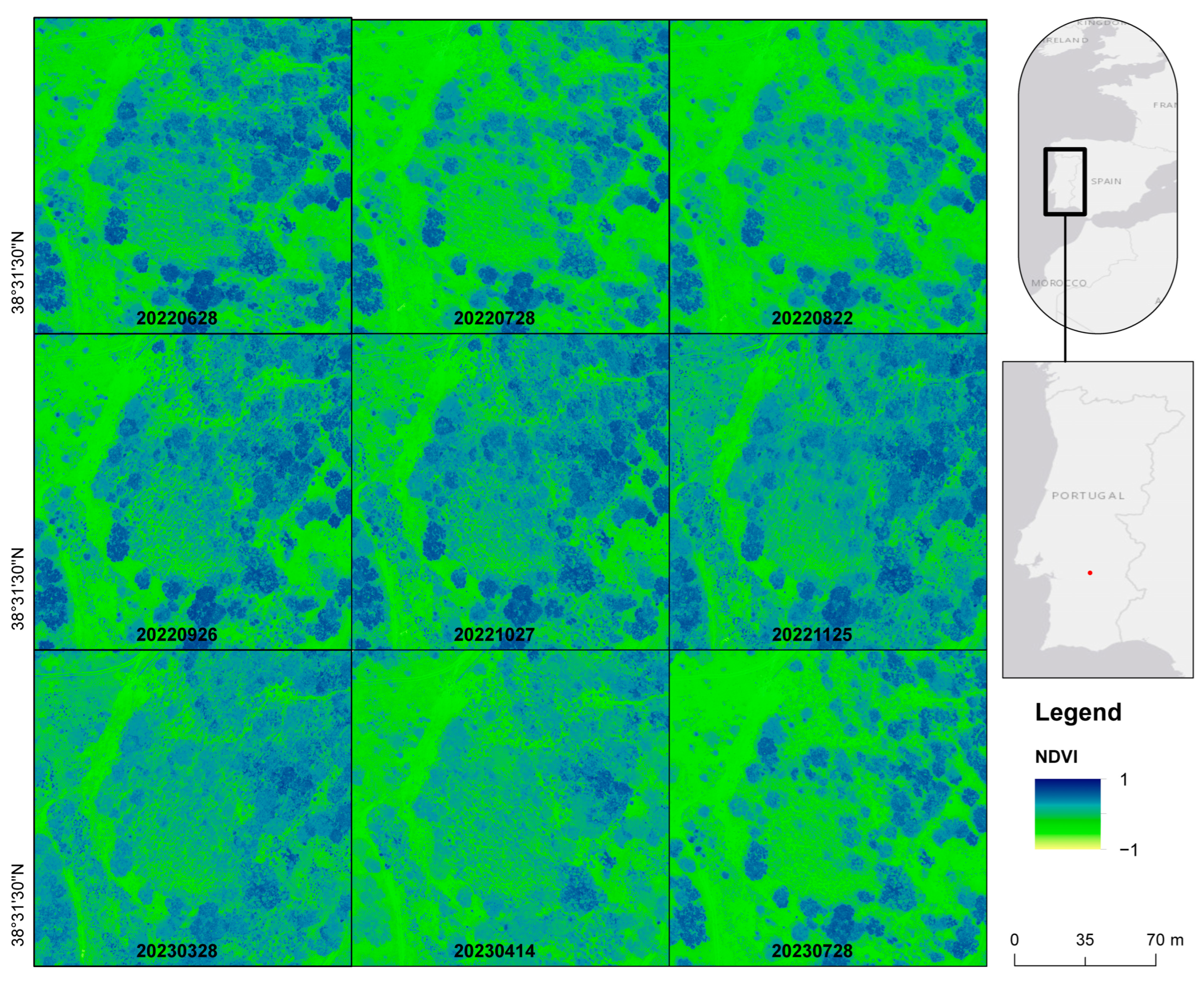 Remotesensing 16 04434 g003