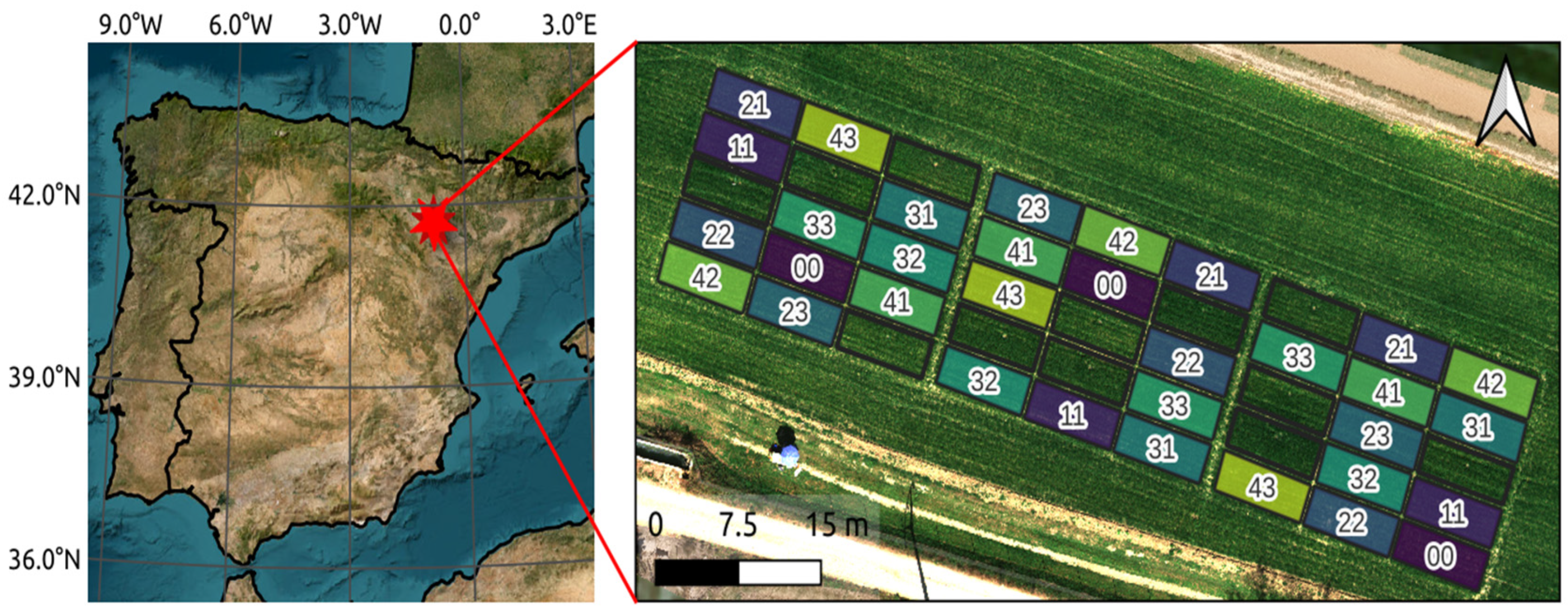 Remotesensing 16 04474 g001