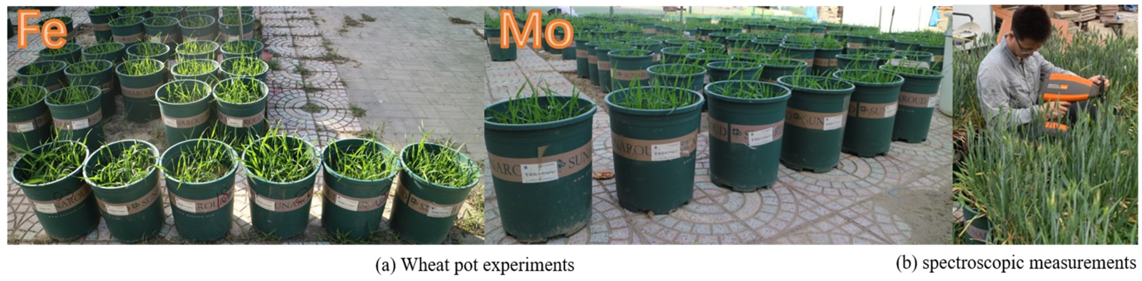 Remotesensing 16 04519 g002