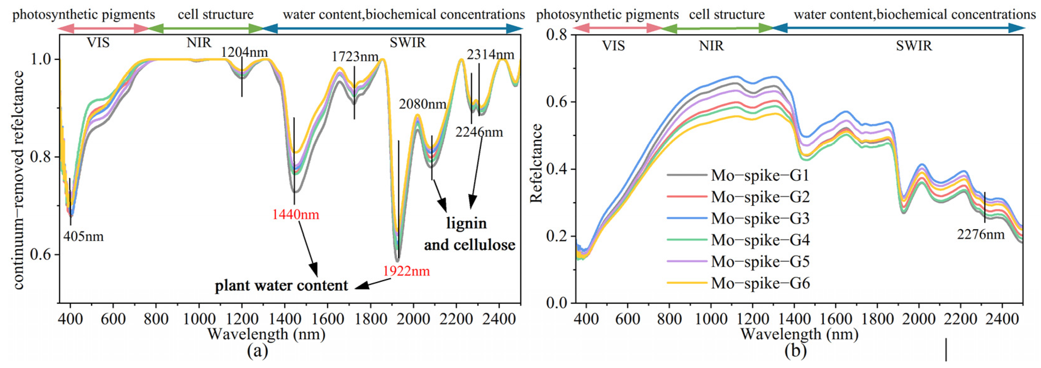 Remotesensing 16 04519 g008