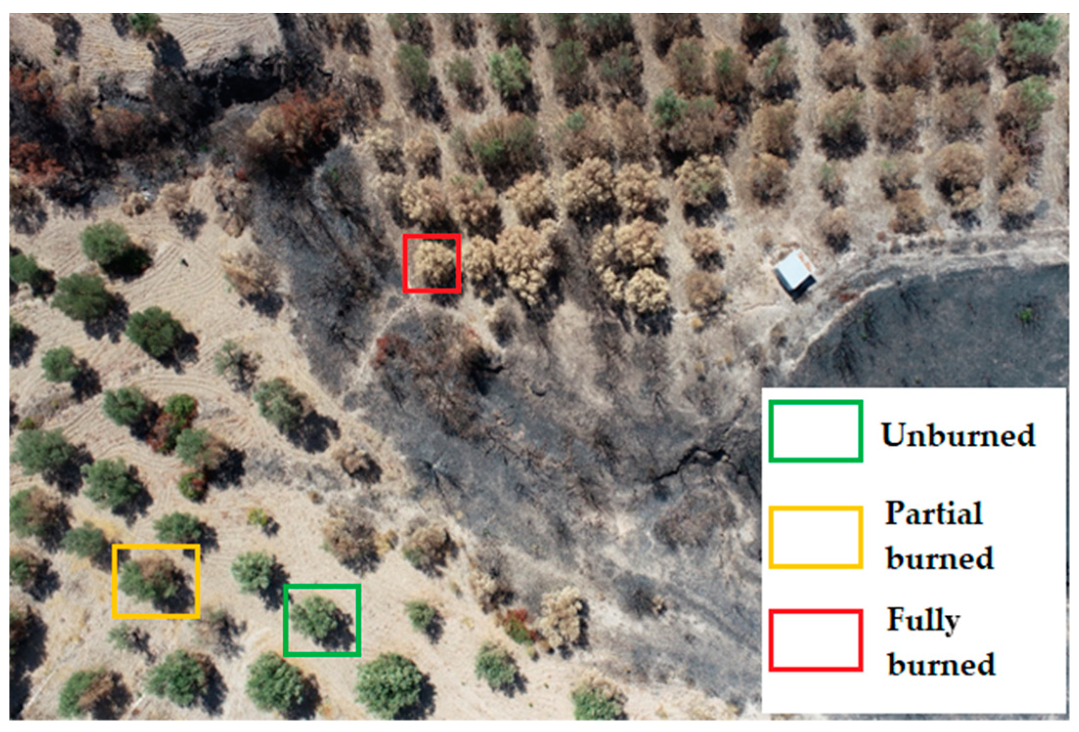 Remotesensing 16 04531 g002