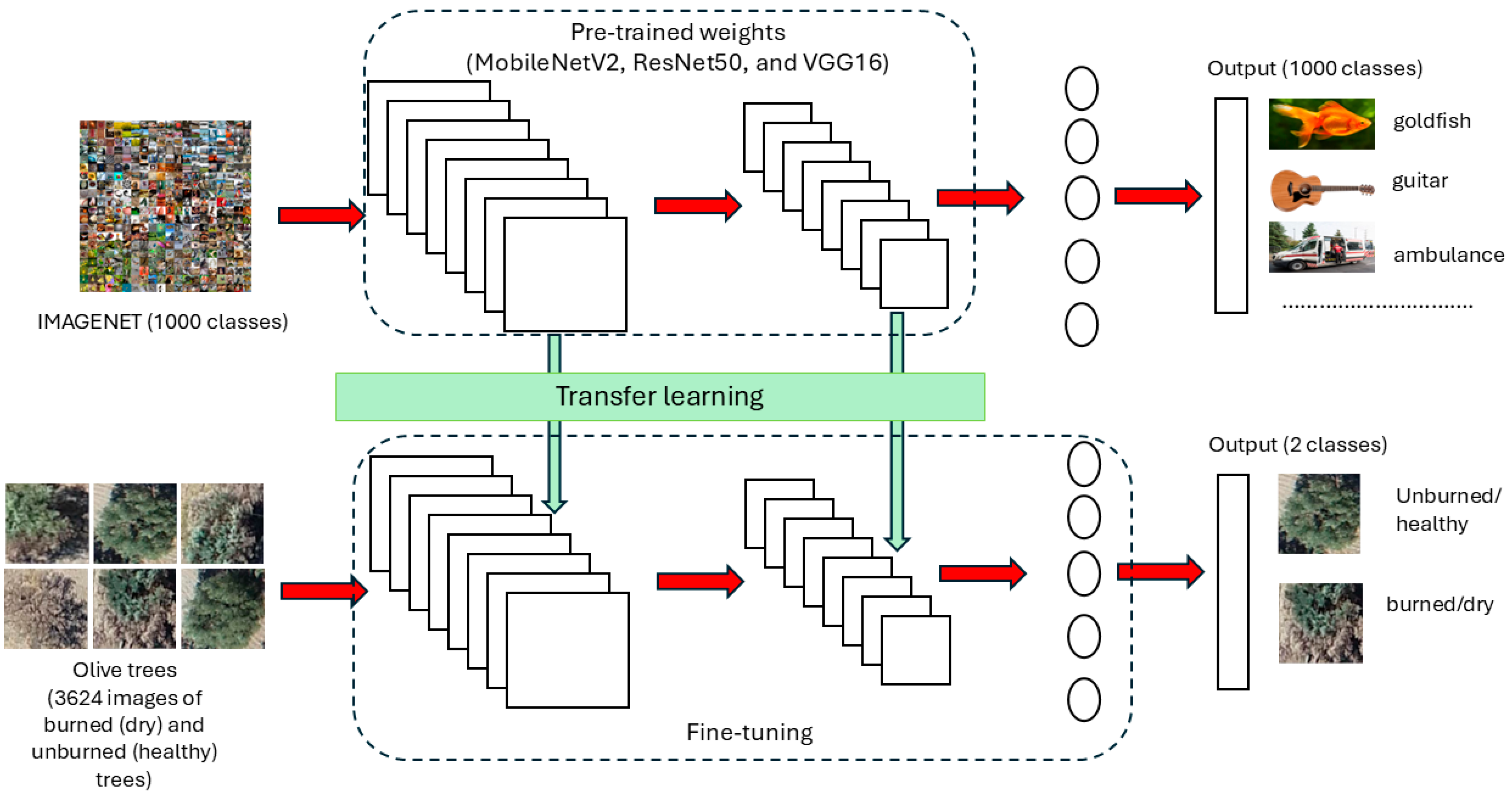 Remotesensing 16 04531 g006