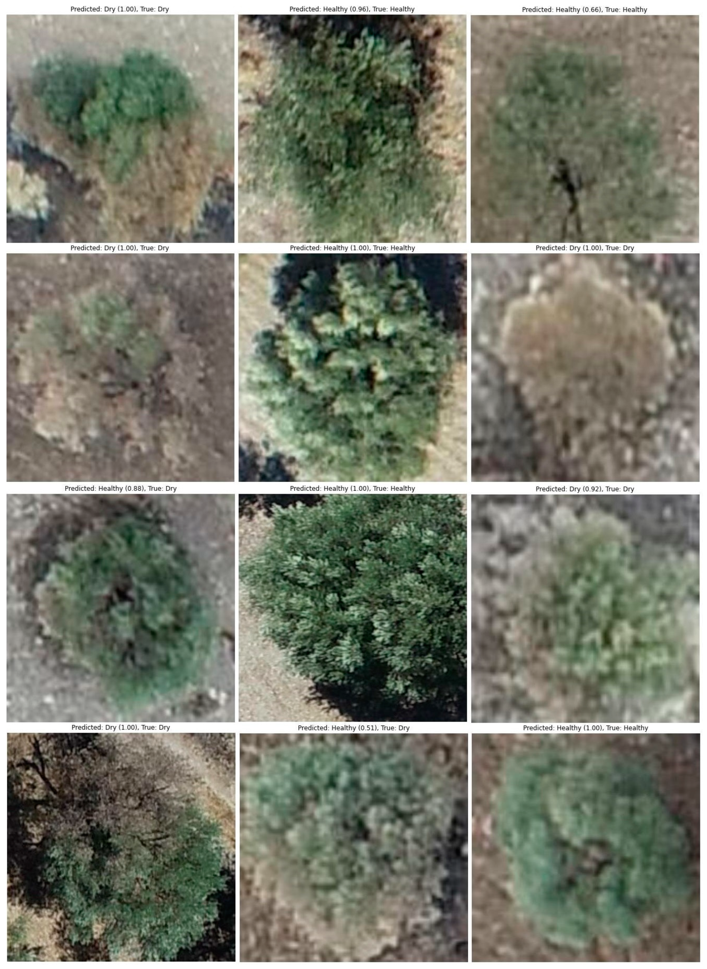 Remotesensing 16 04531 g017