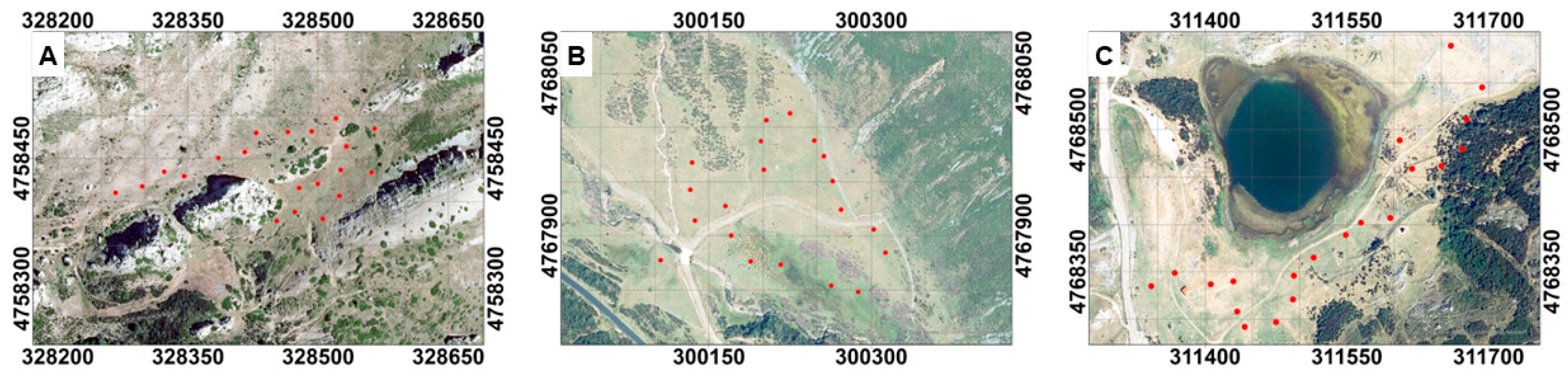 Remotesensing 16 04547 g002