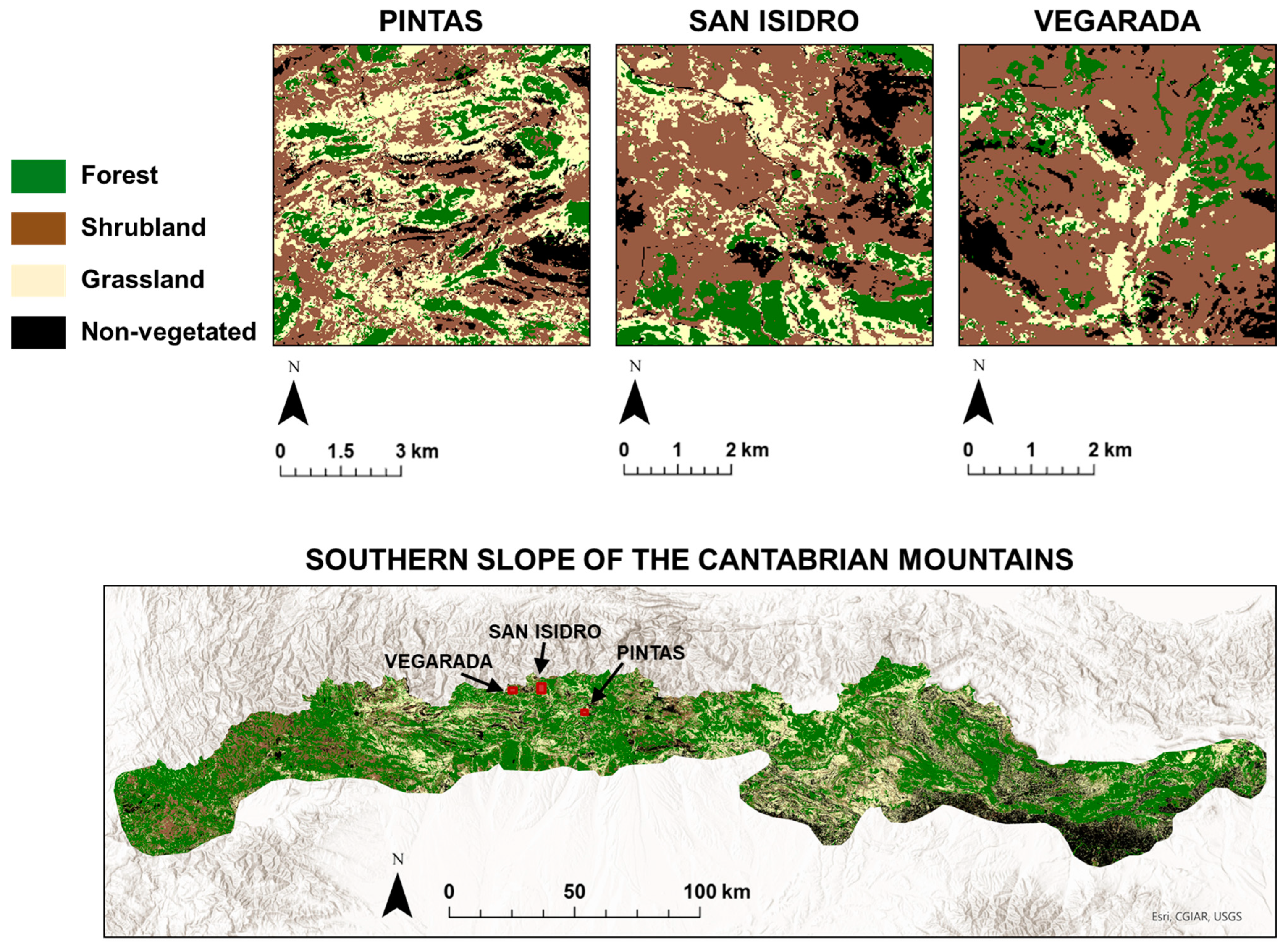 Remotesensing 16 04547 g006