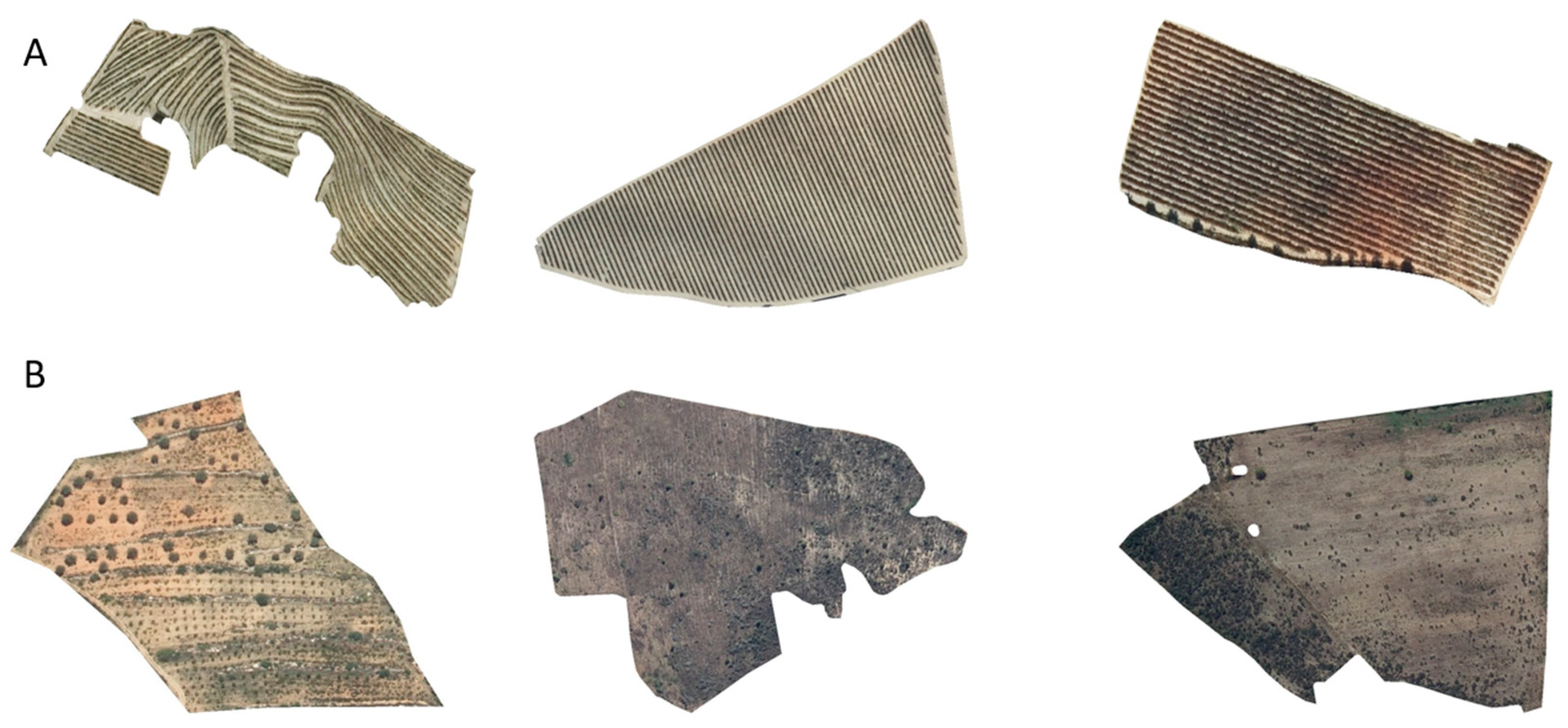 Remotesensing 16 04581 g002