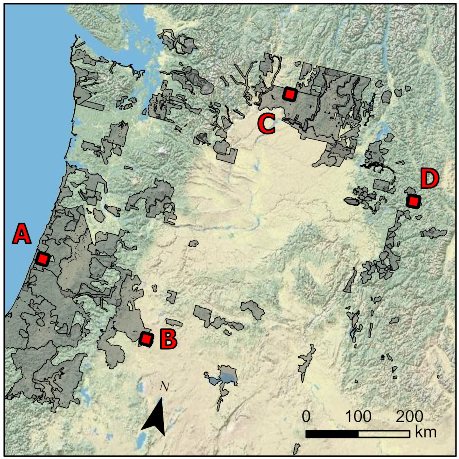 Remotesensing 16 04586 g006