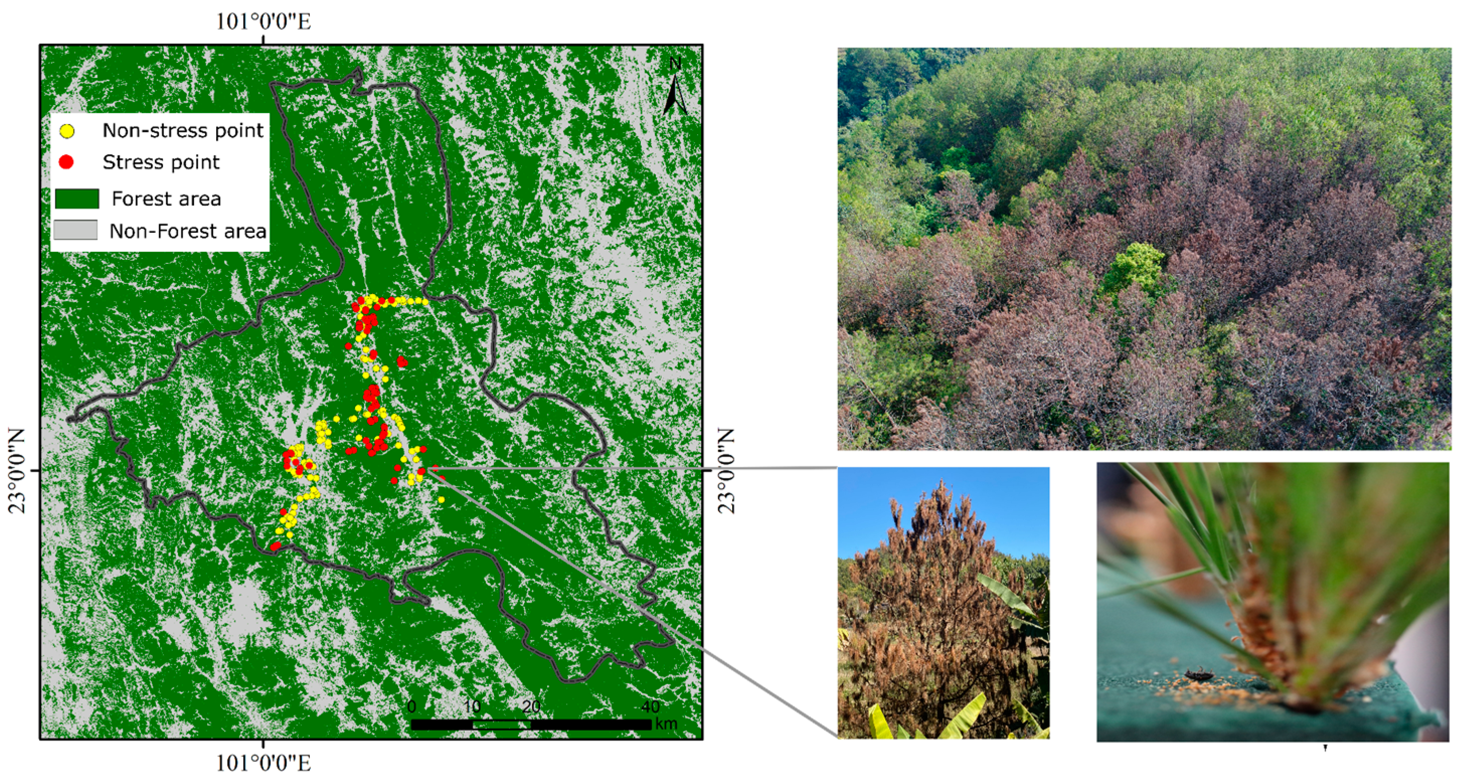 Remotesensing 16 04590 g002