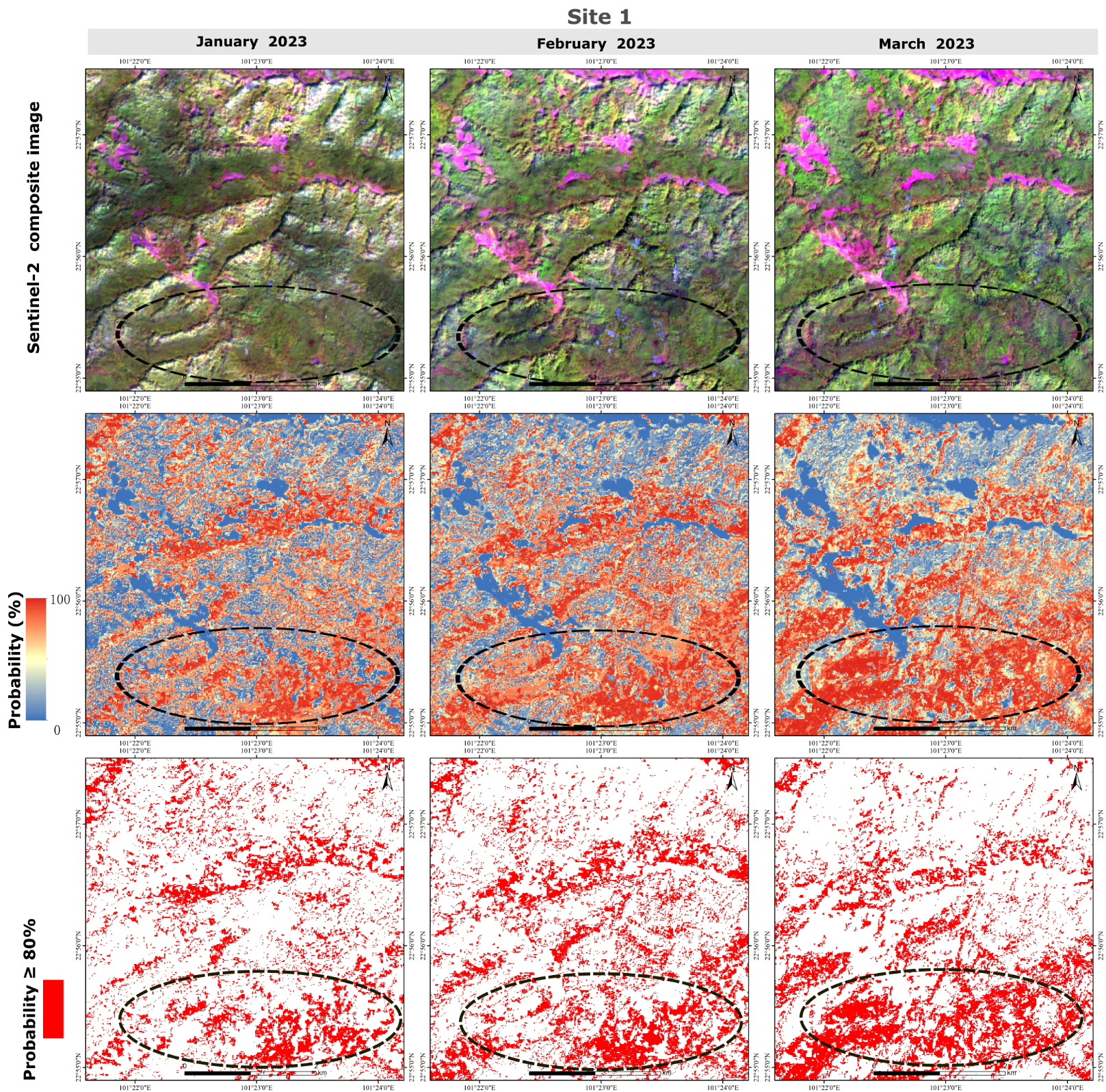 Remotesensing 16 04590 g008