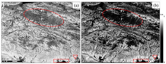 ポンズ 43einhalb Celebrate 10th Anniversary with Exclusive adidas