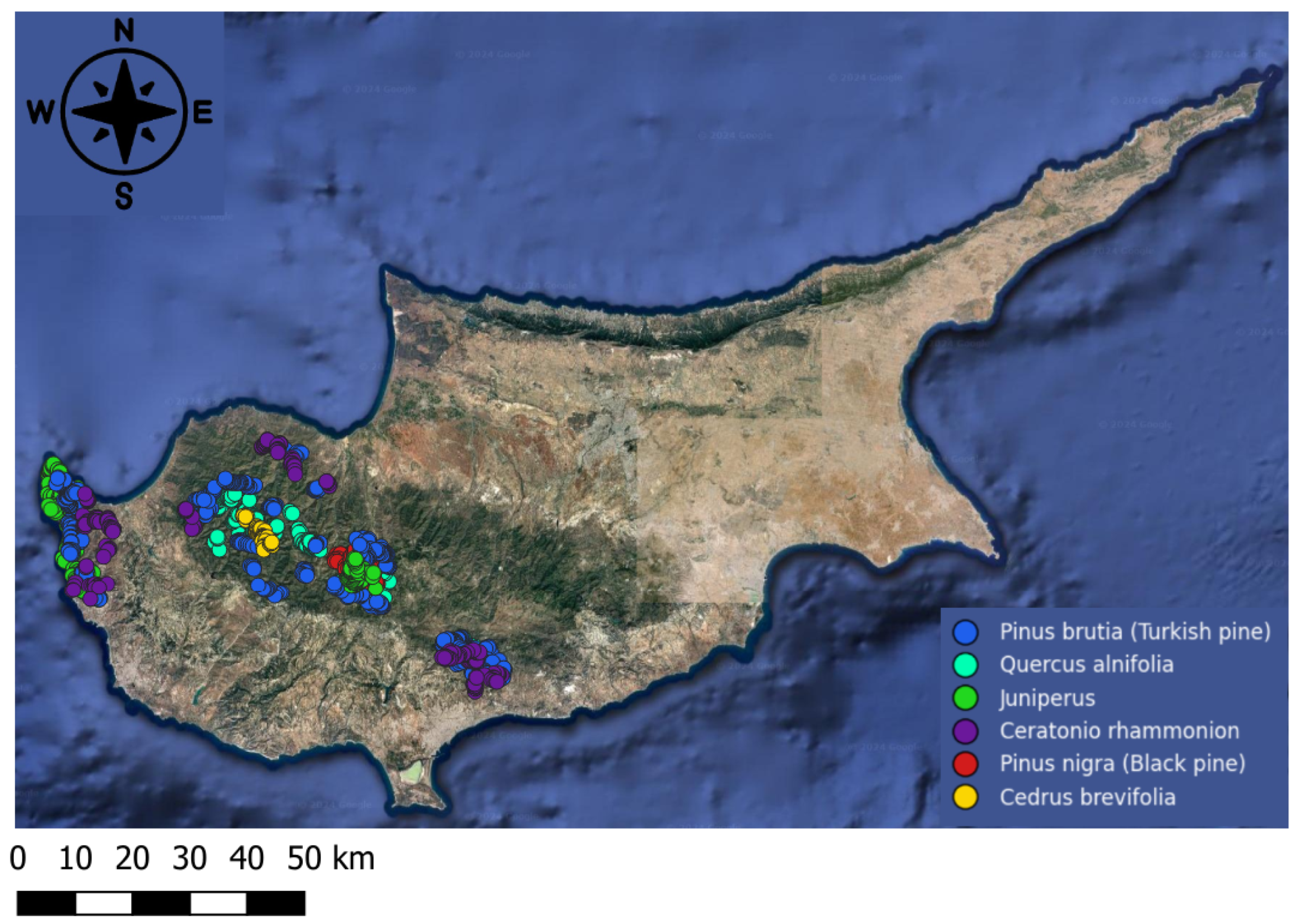 Remotesensing 16 04611 g004