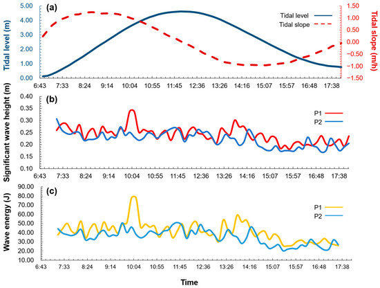 Analysis of Tidal Cycle Wave Breaking Distribution