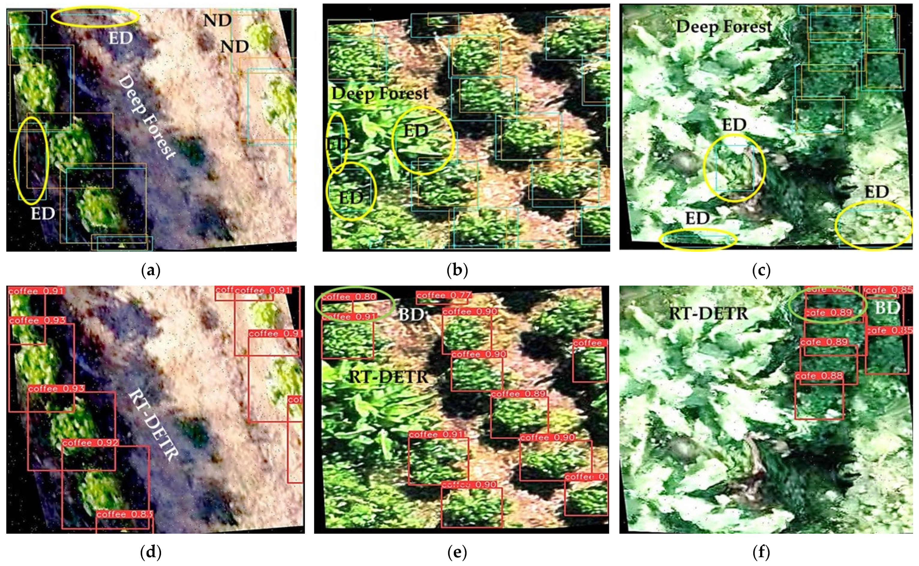 Remotesensing 16 04617 g010a