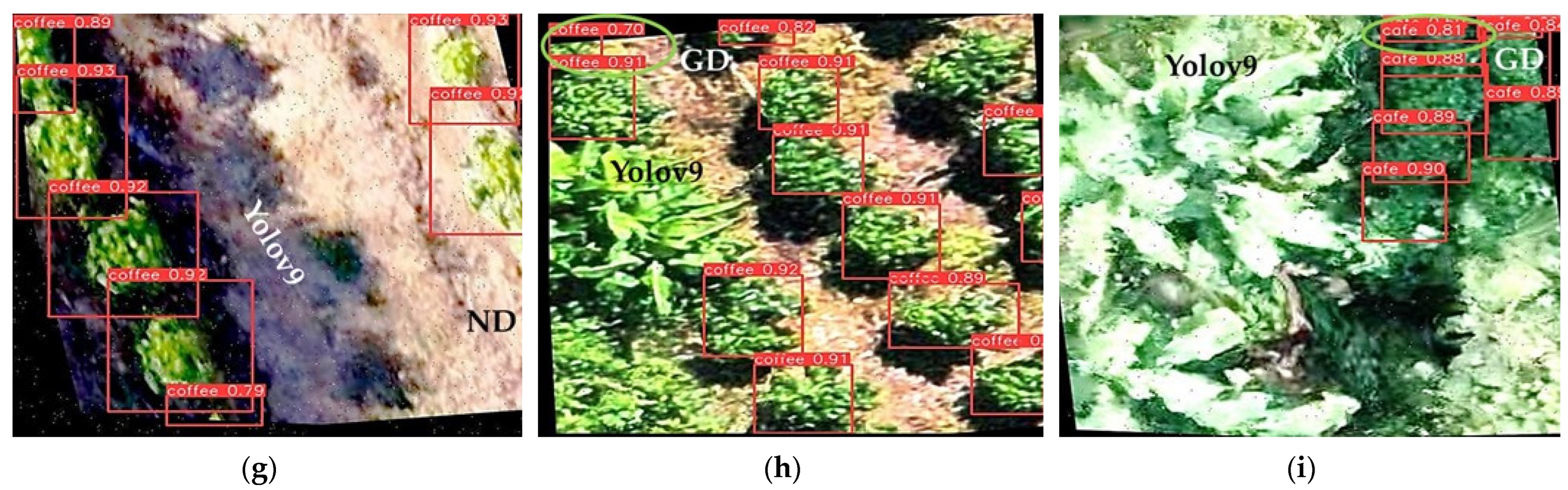 Remotesensing 16 04617 g010b