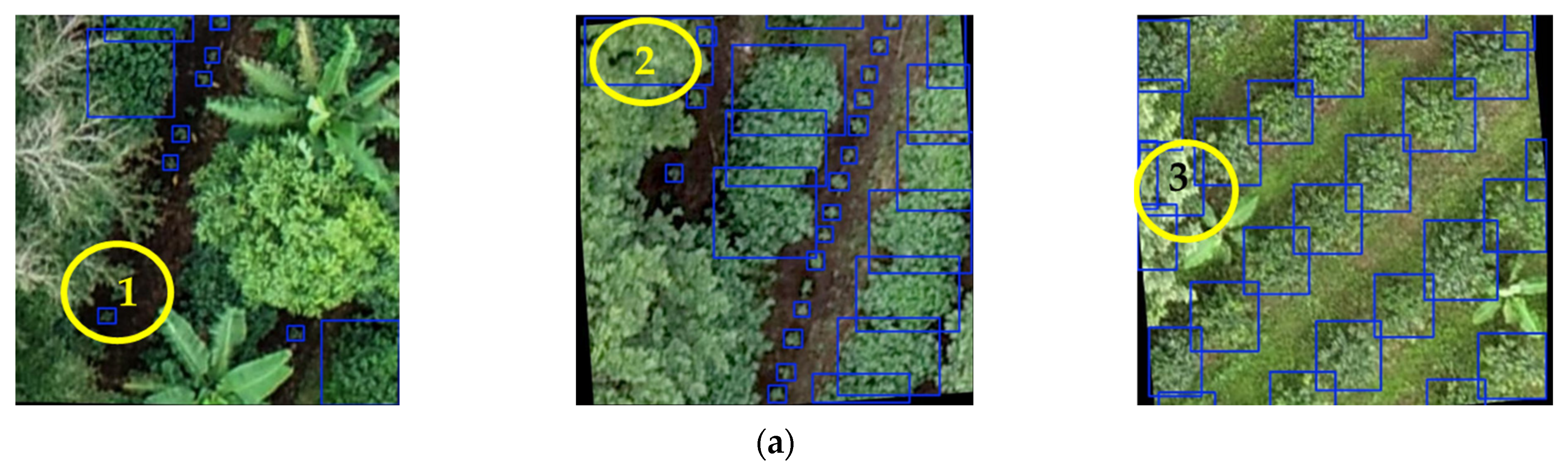 Remotesensing 16 04617 g014a