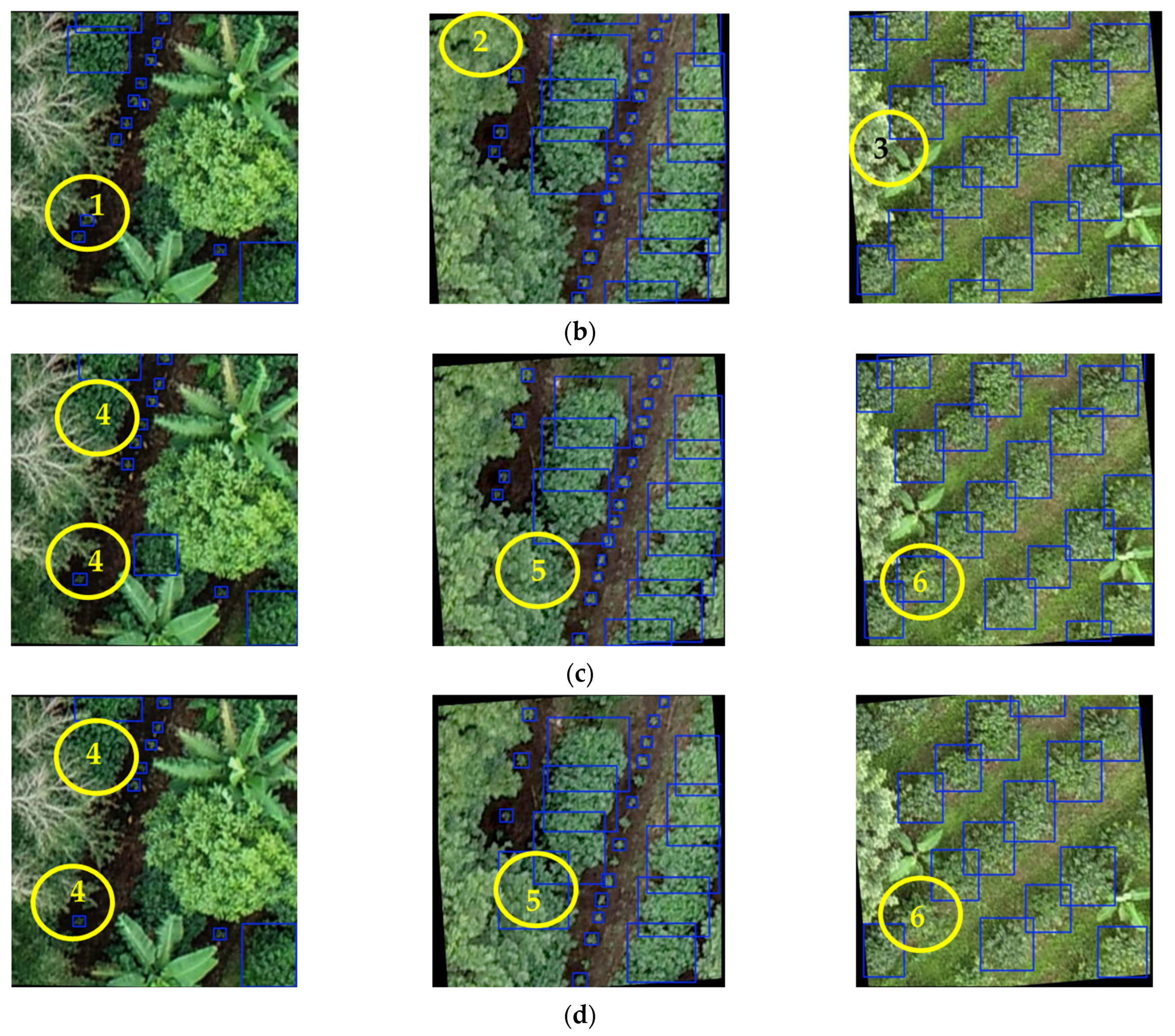 Remotesensing 16 04617 g014b