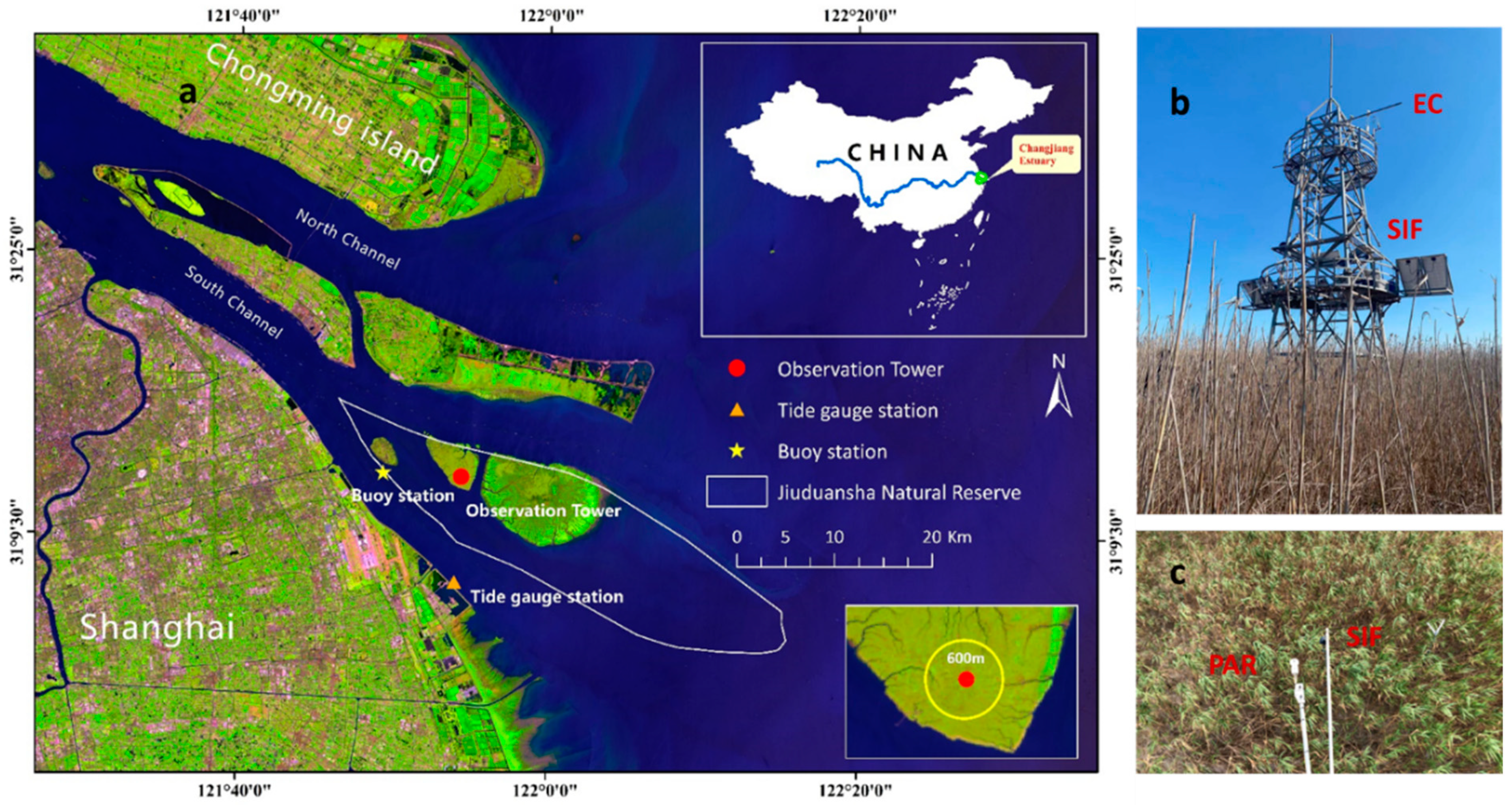 Remotesensing 16 04636 g001