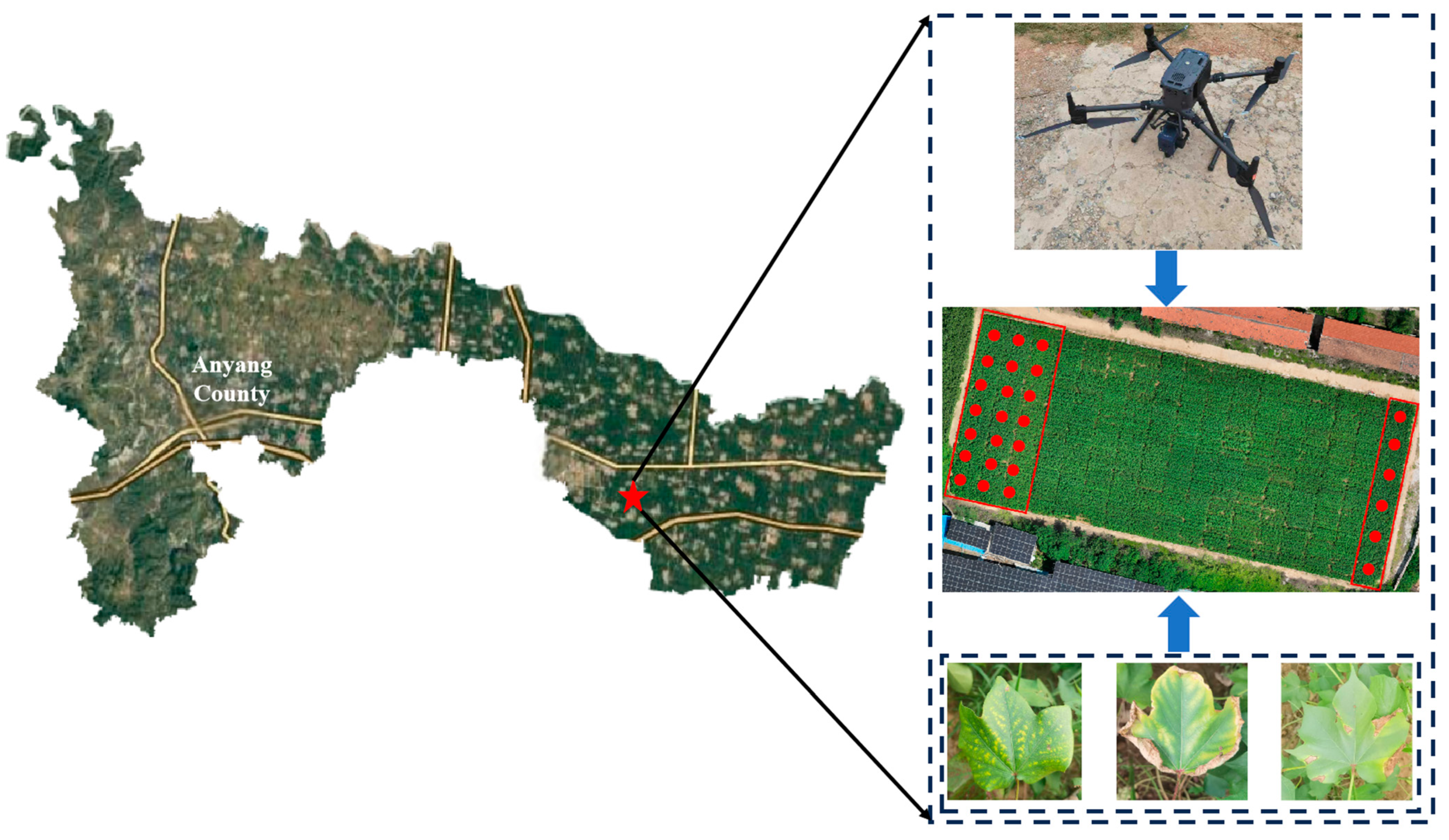 Remotesensing 16 04637 g002