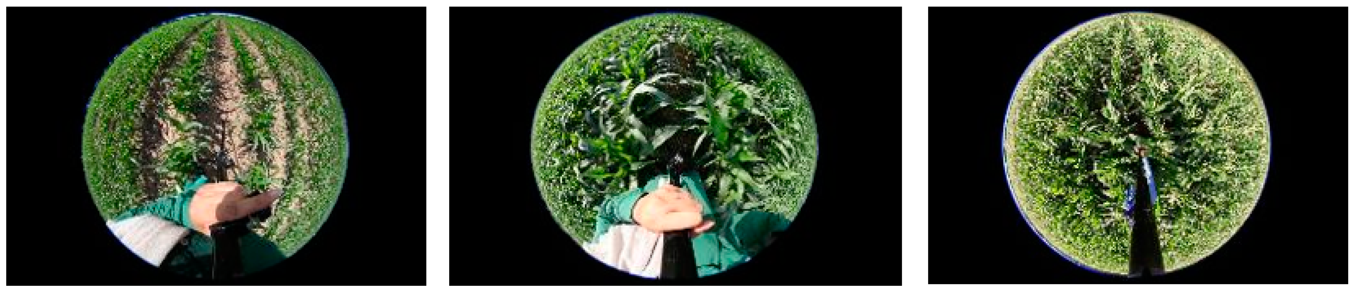 Remotesensing 16 04665 g003 Remotesensing 16 04665 g003