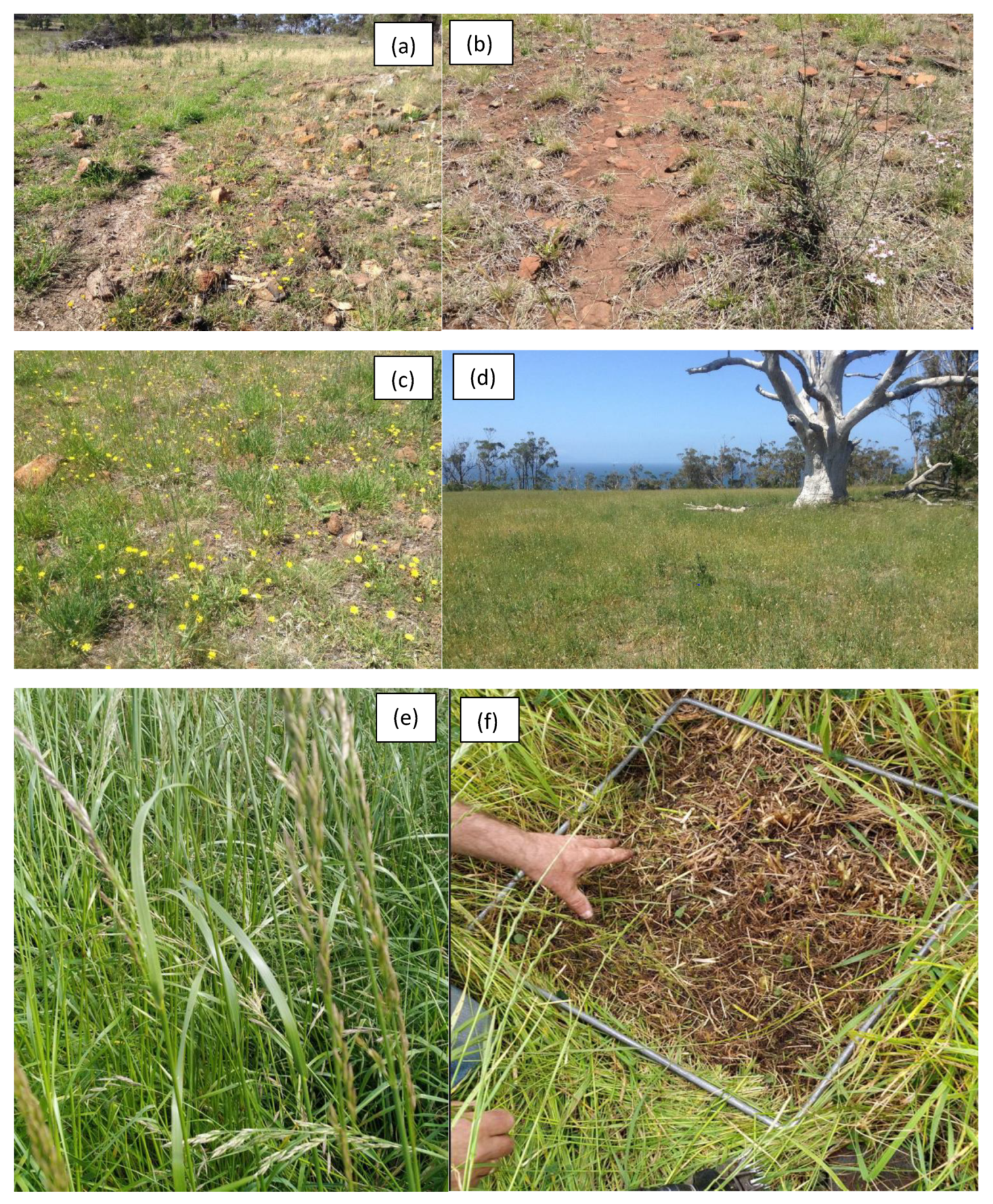 Remotesensing 16 04688 g002