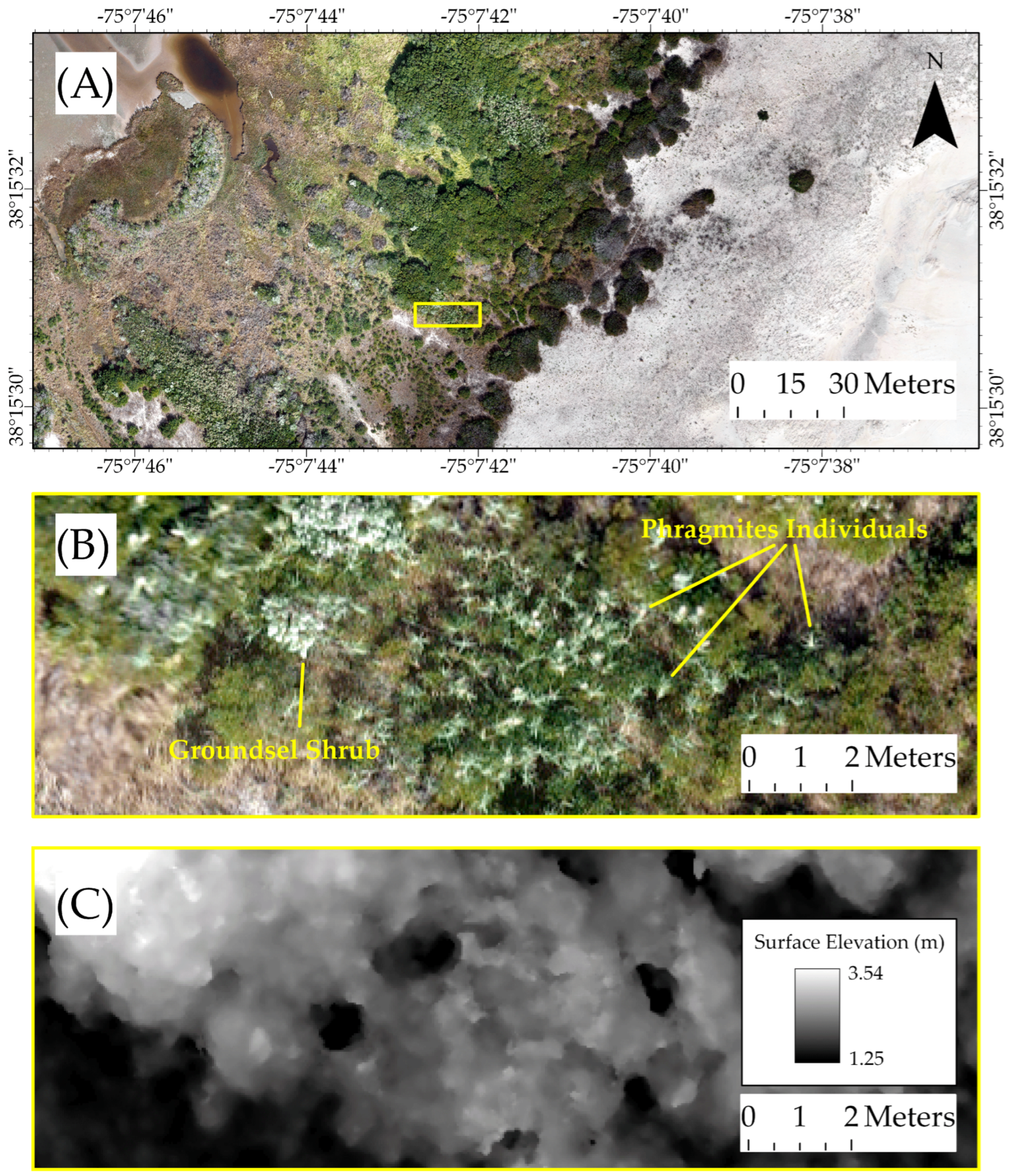 Remotesensing 16 04691 g004