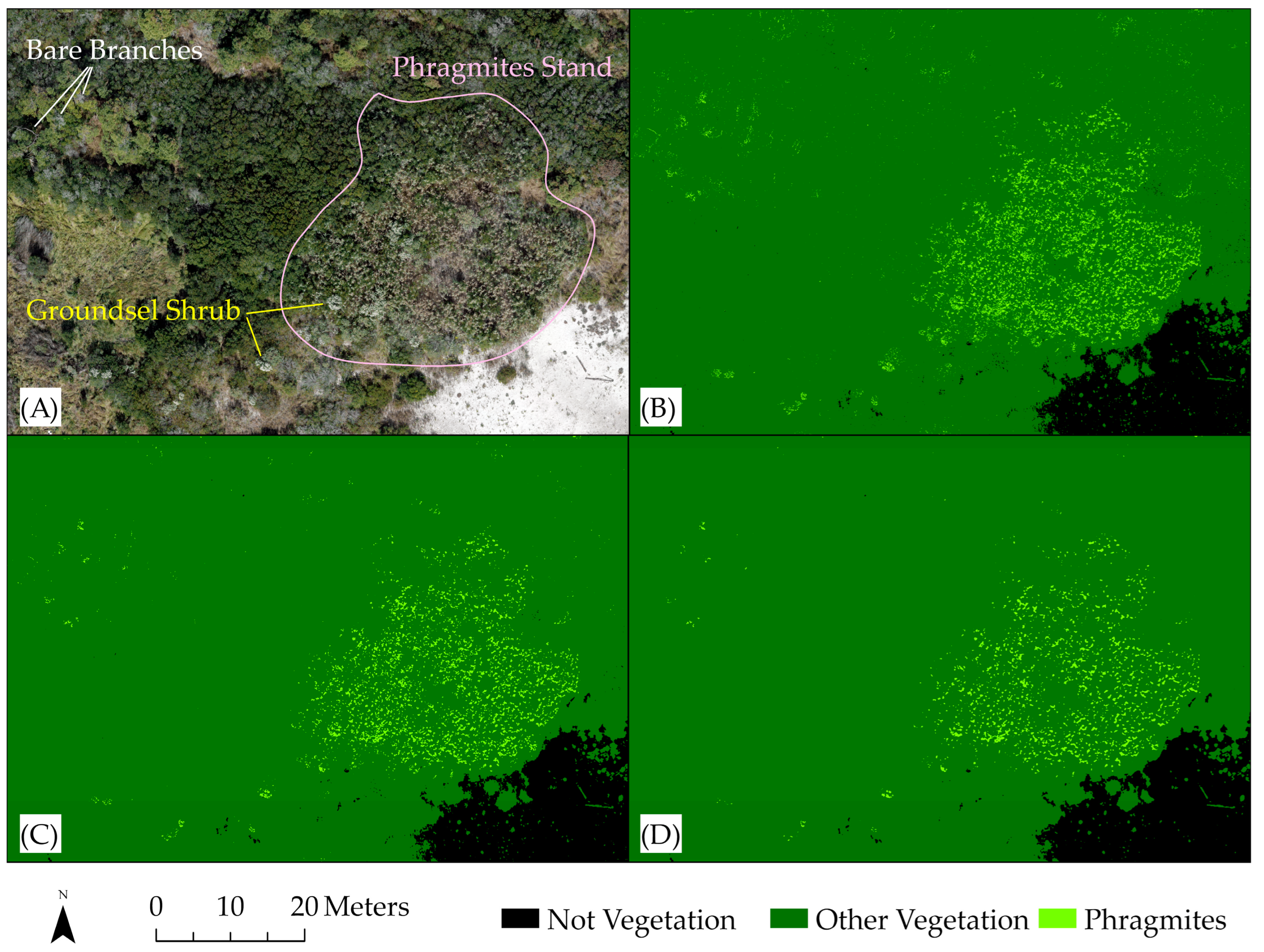Remotesensing 16 04691 g010