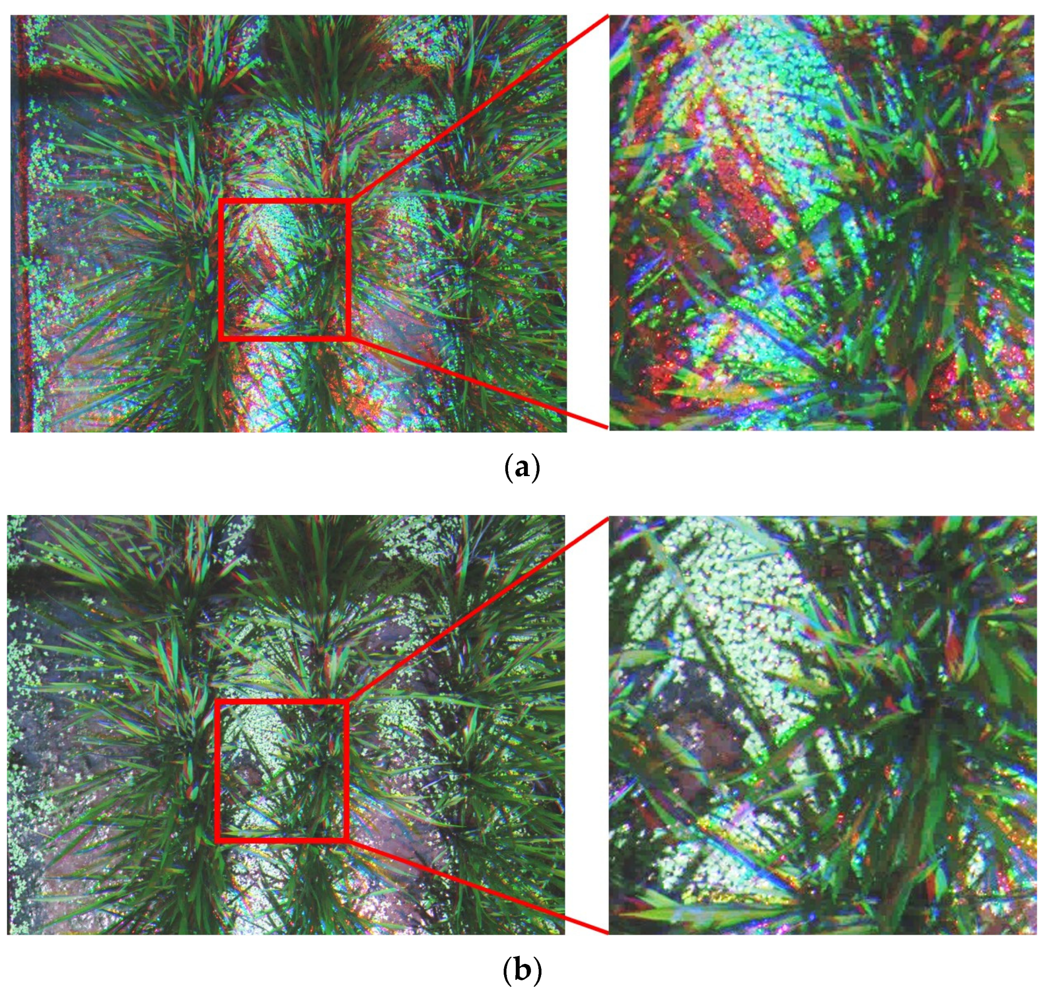 Remotesensing 16 04725 g003