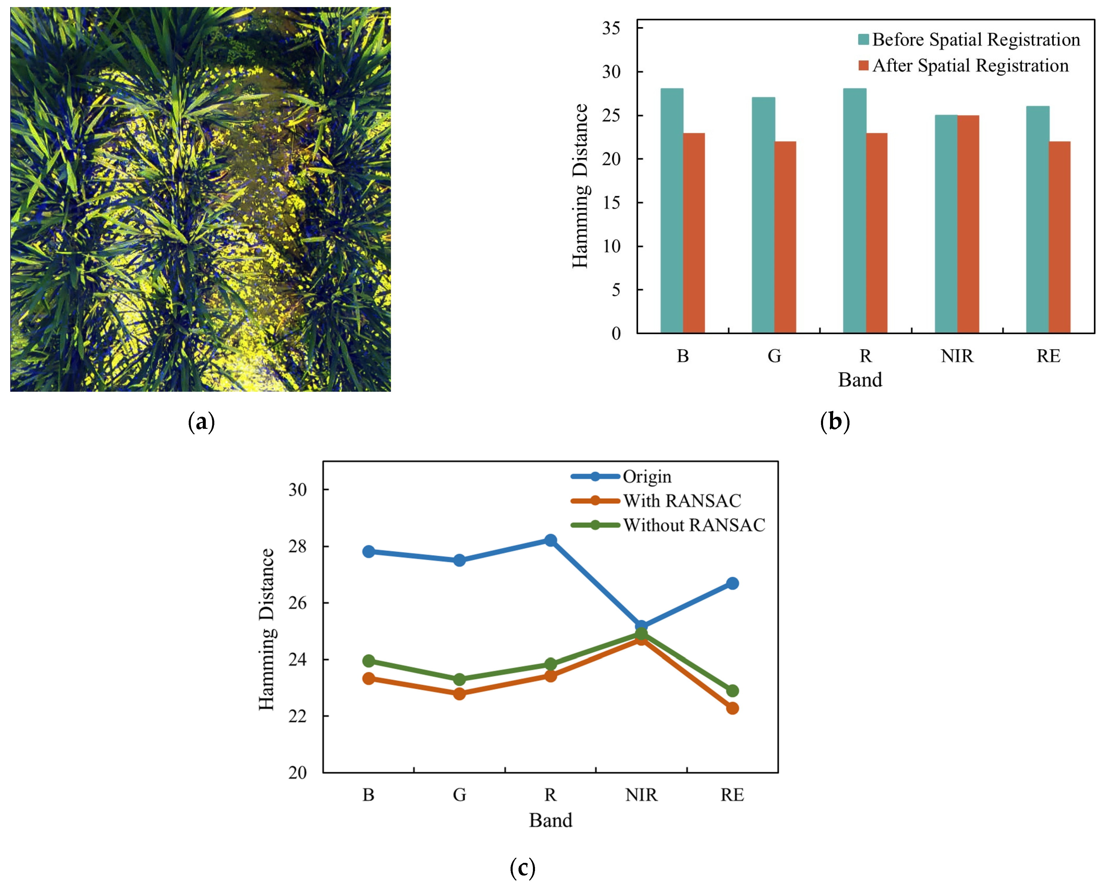 Remotesensing 16 04725 g005