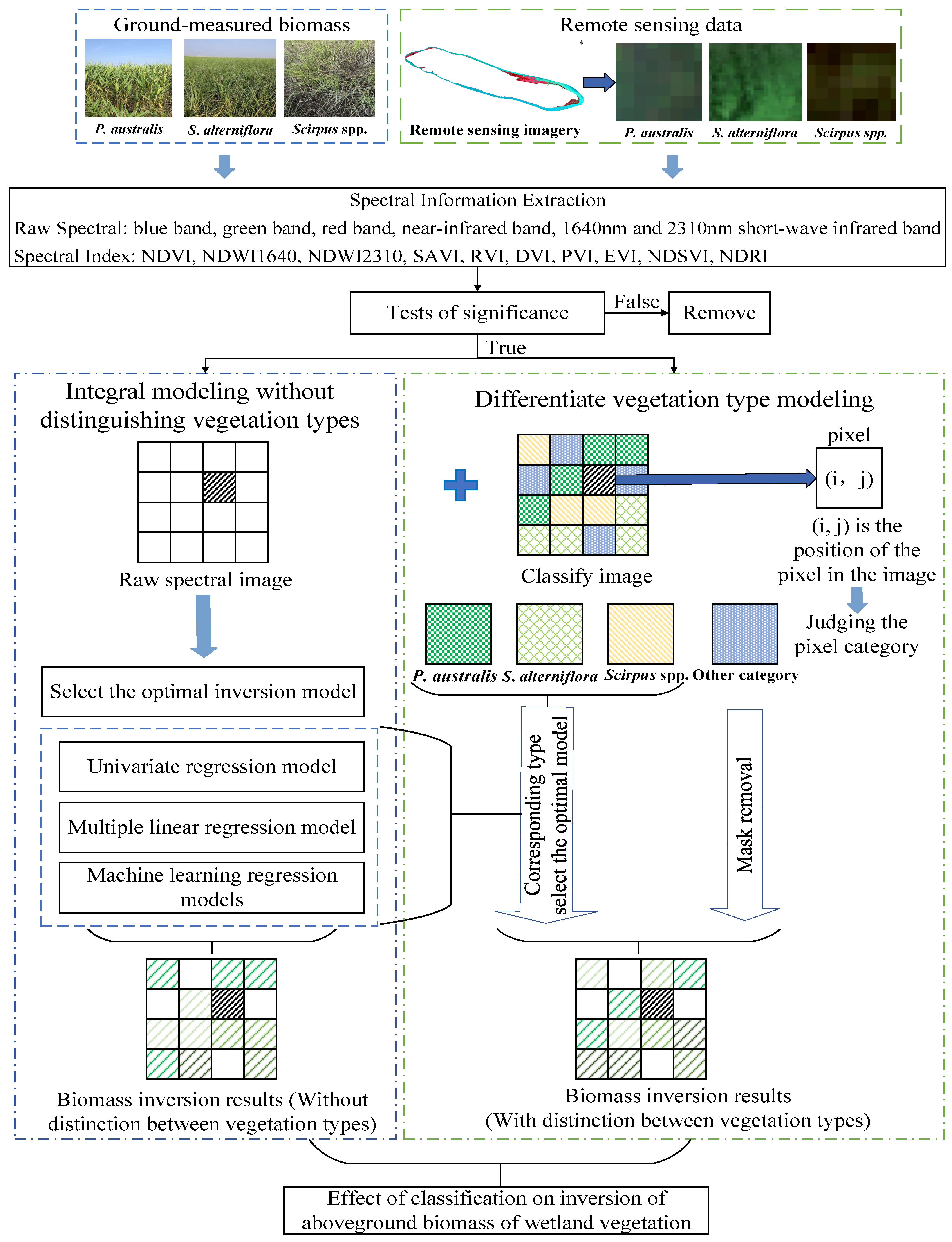 Assessment of the Impact of Coastal Wetland Saltmarsh Vegetation Types ...
